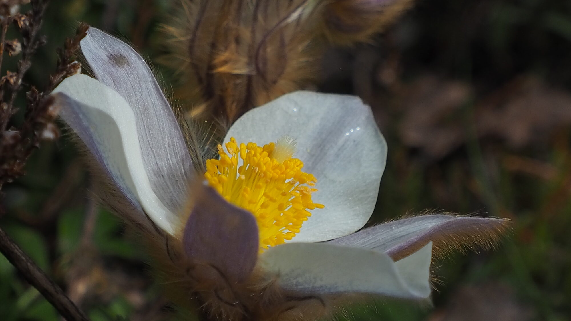 Valokuvaaja: Martti Valtonen