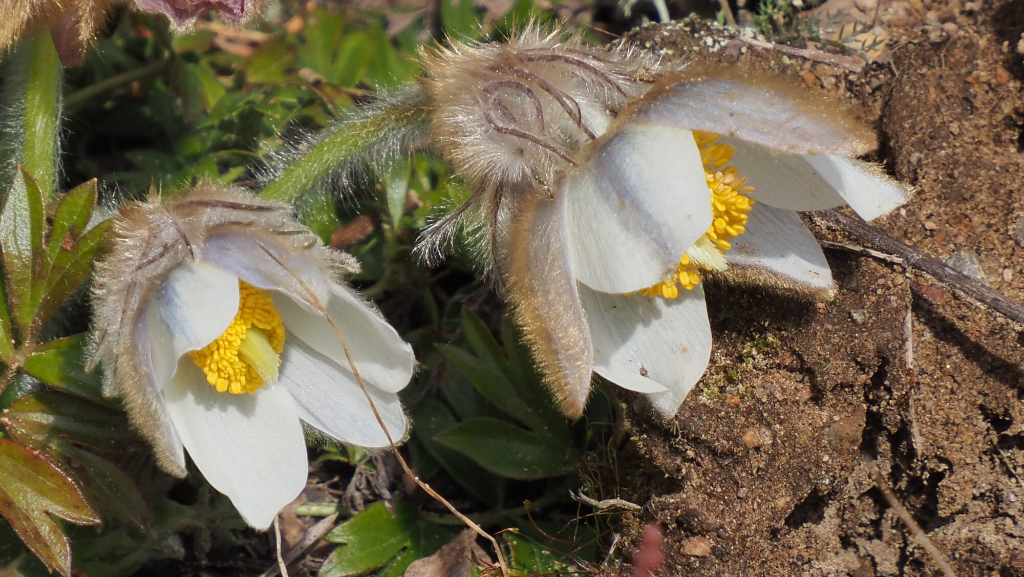 Valokuvaaja: Arja Valtonen