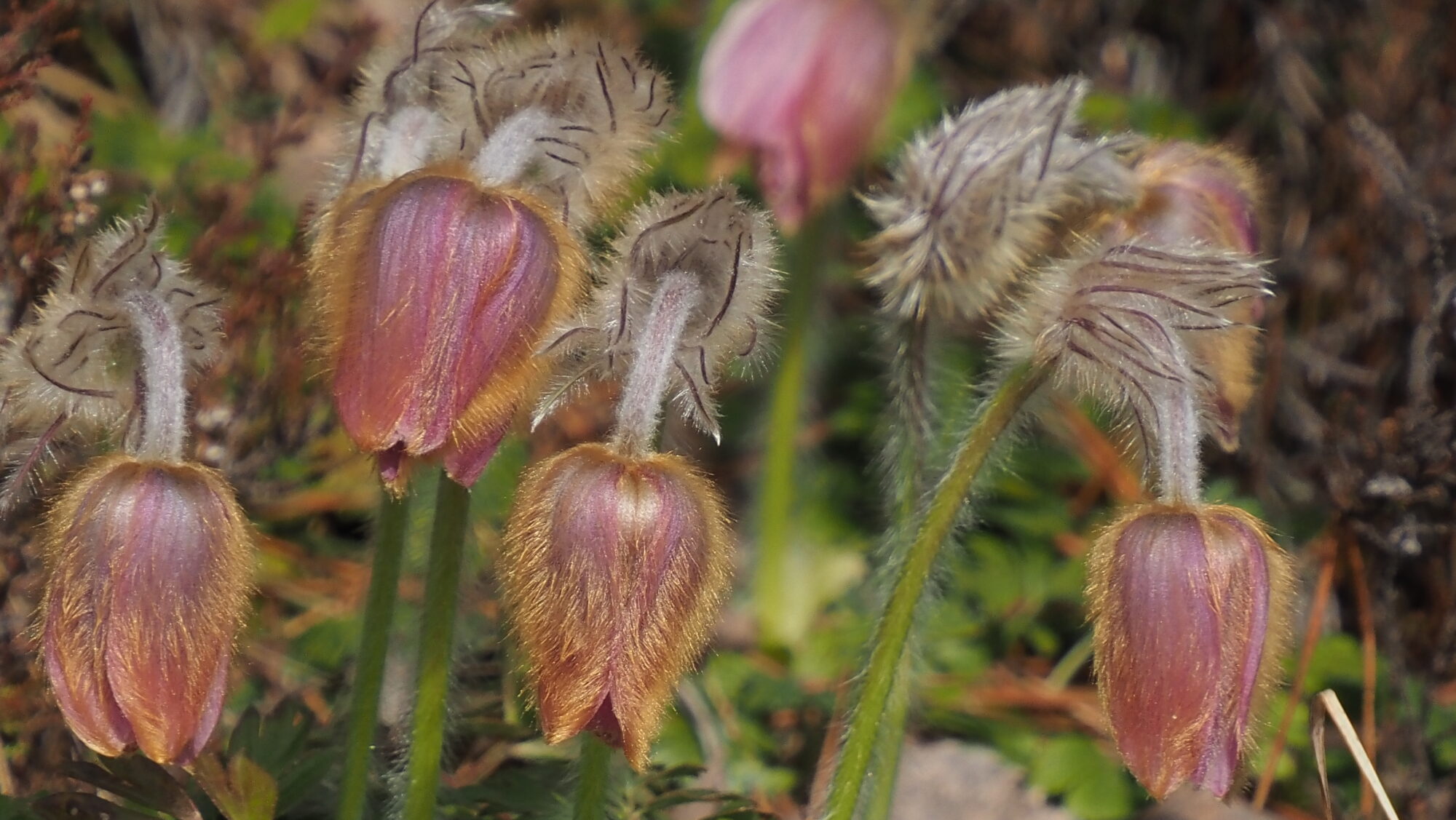 Valokuvaaja: Arja Valtonen