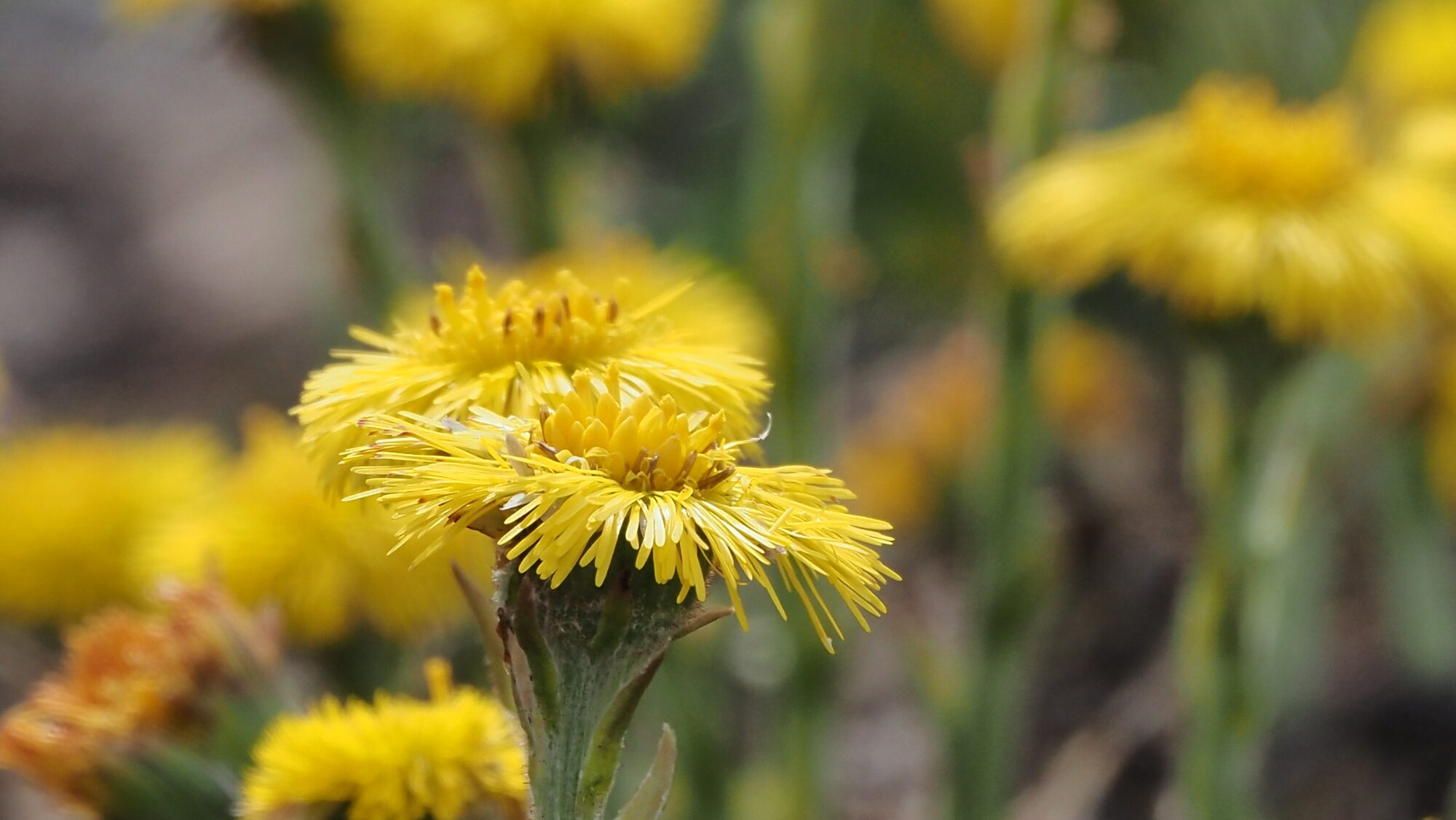 Valokuvaaja: Arja Valtonen