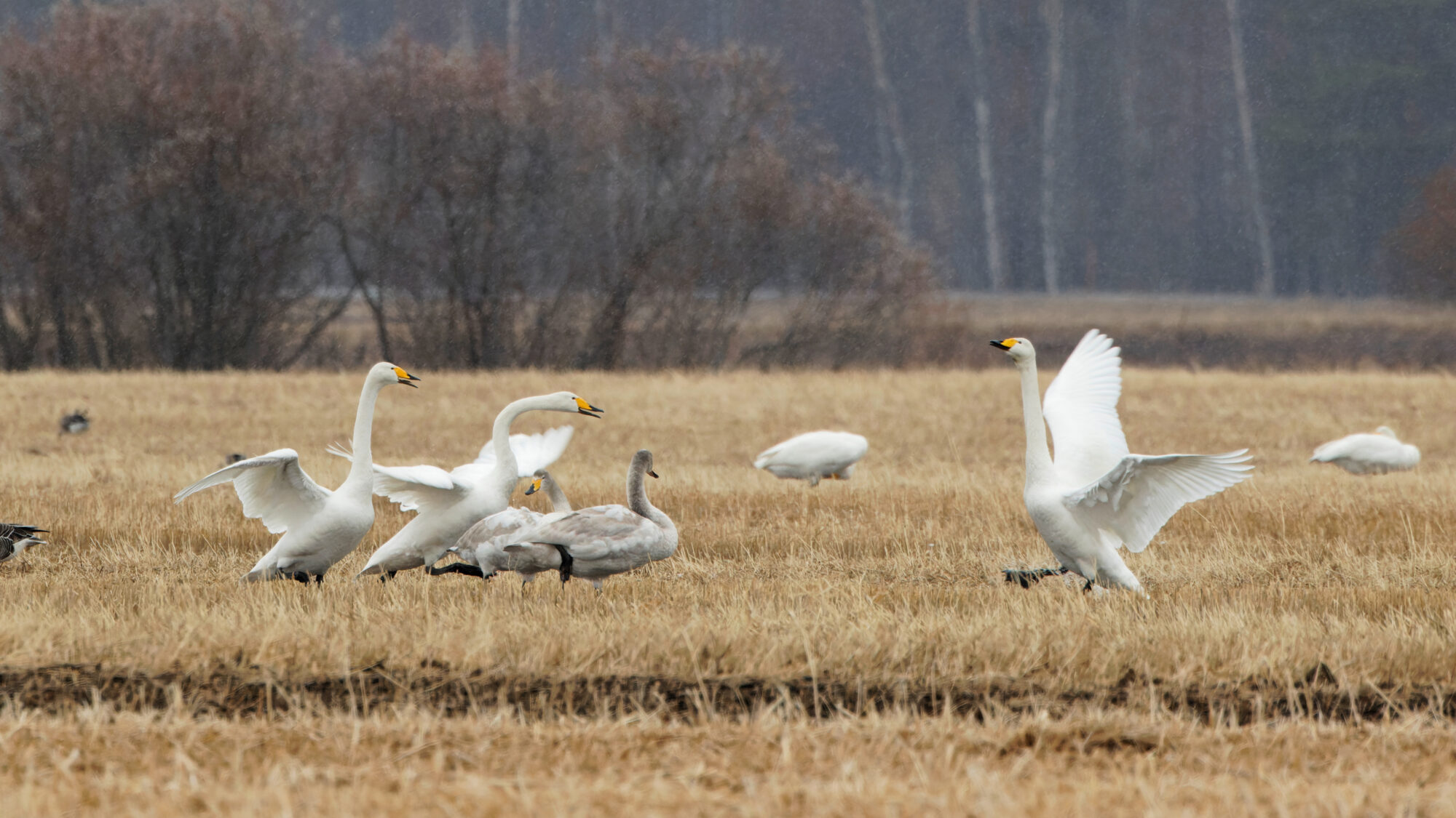 Valokuvaaja: Tommi Kujala