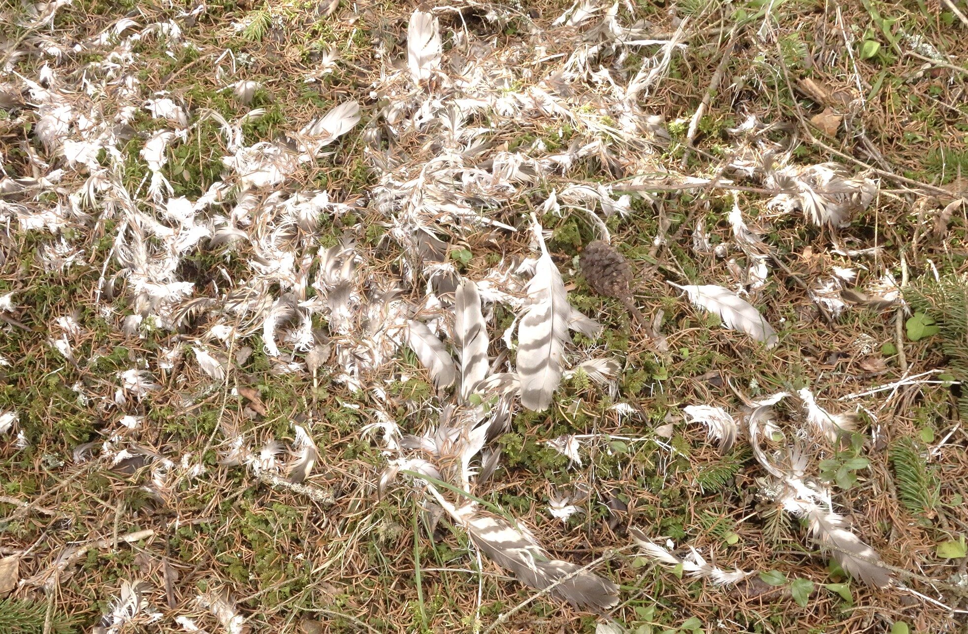 Valokuvaaja: Kaarina Heiskanen