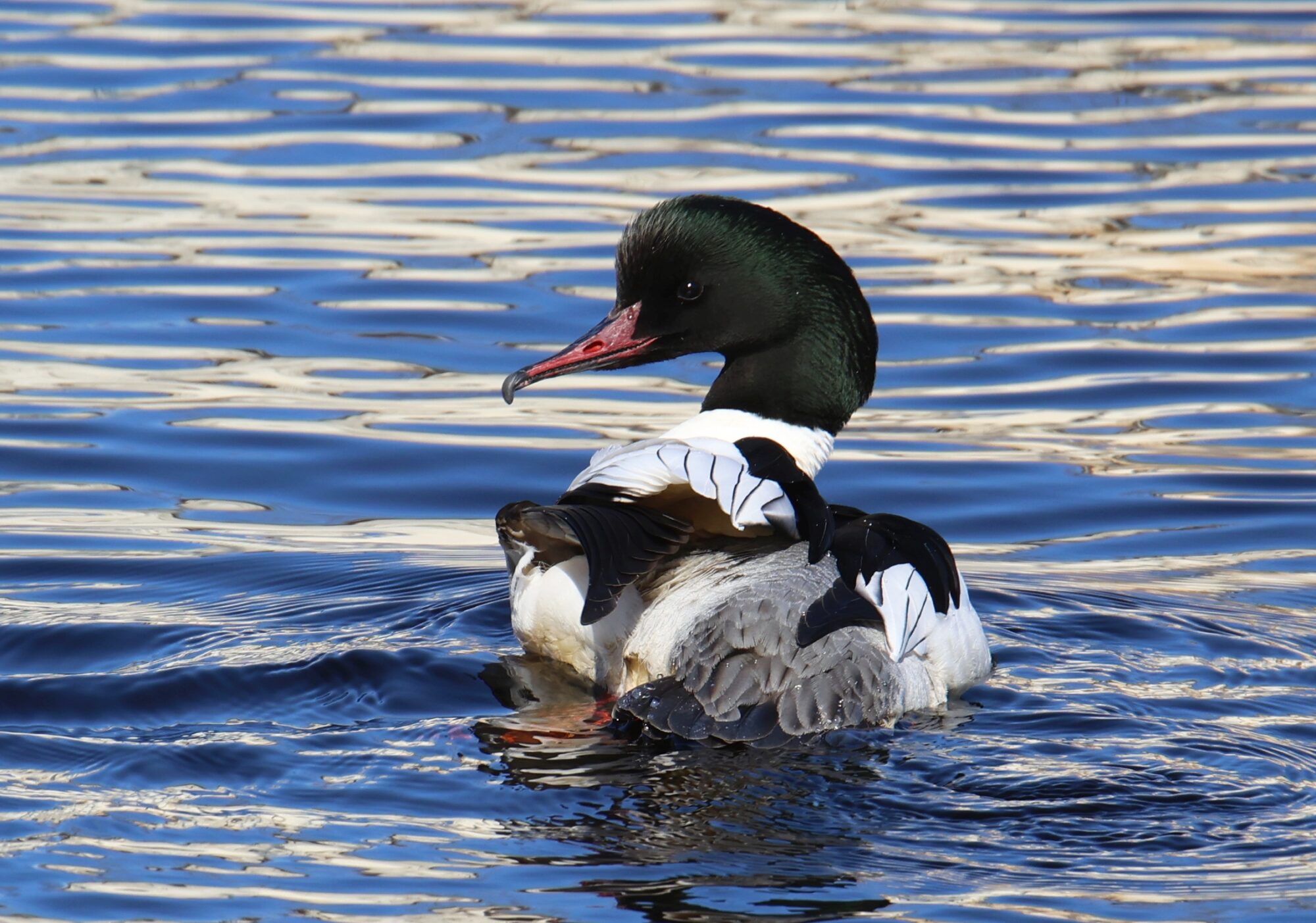 Valokuvaaja: Jaana Saarelainen