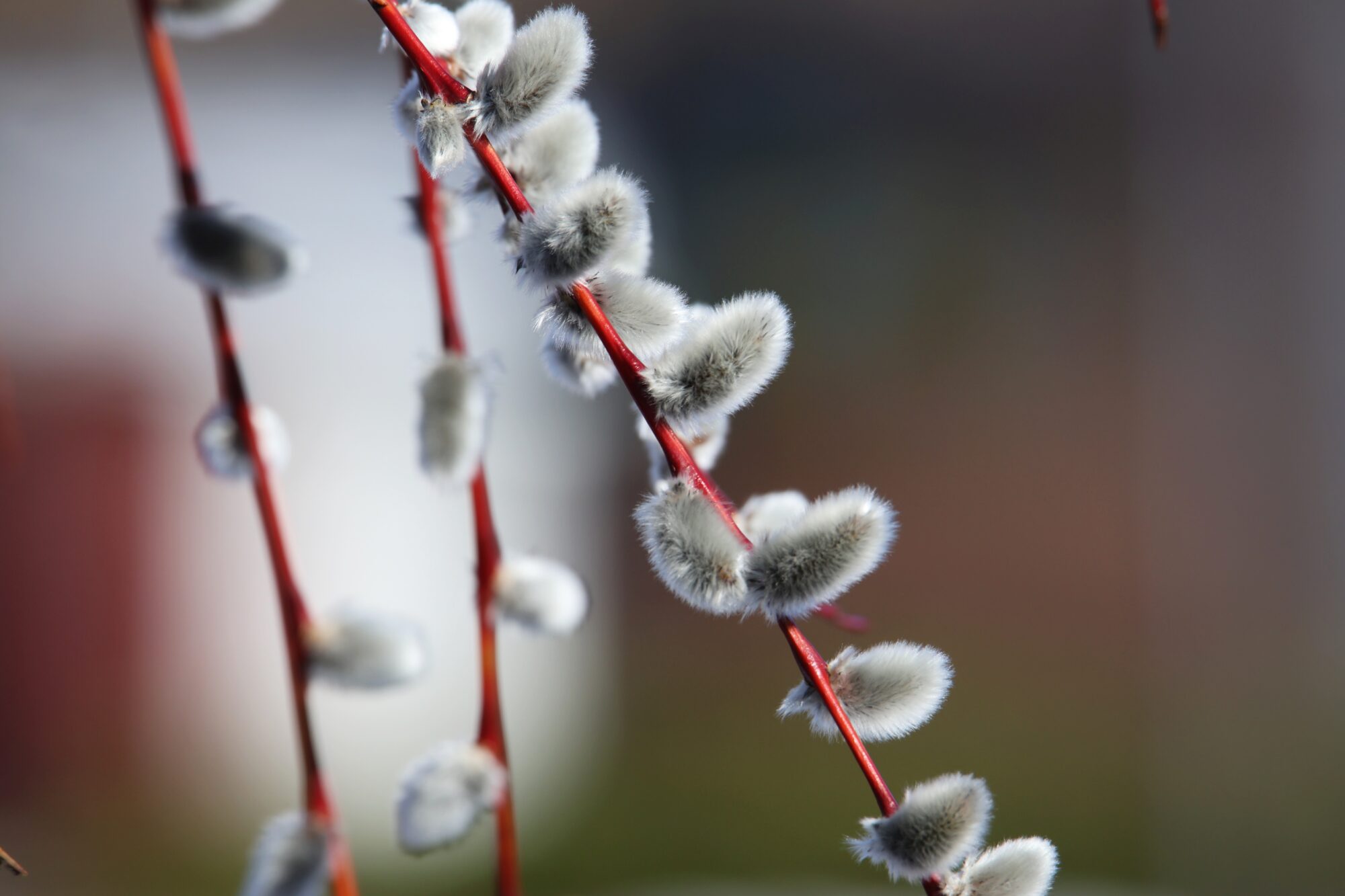 Valokuvaaja: Jaana Saarelainen