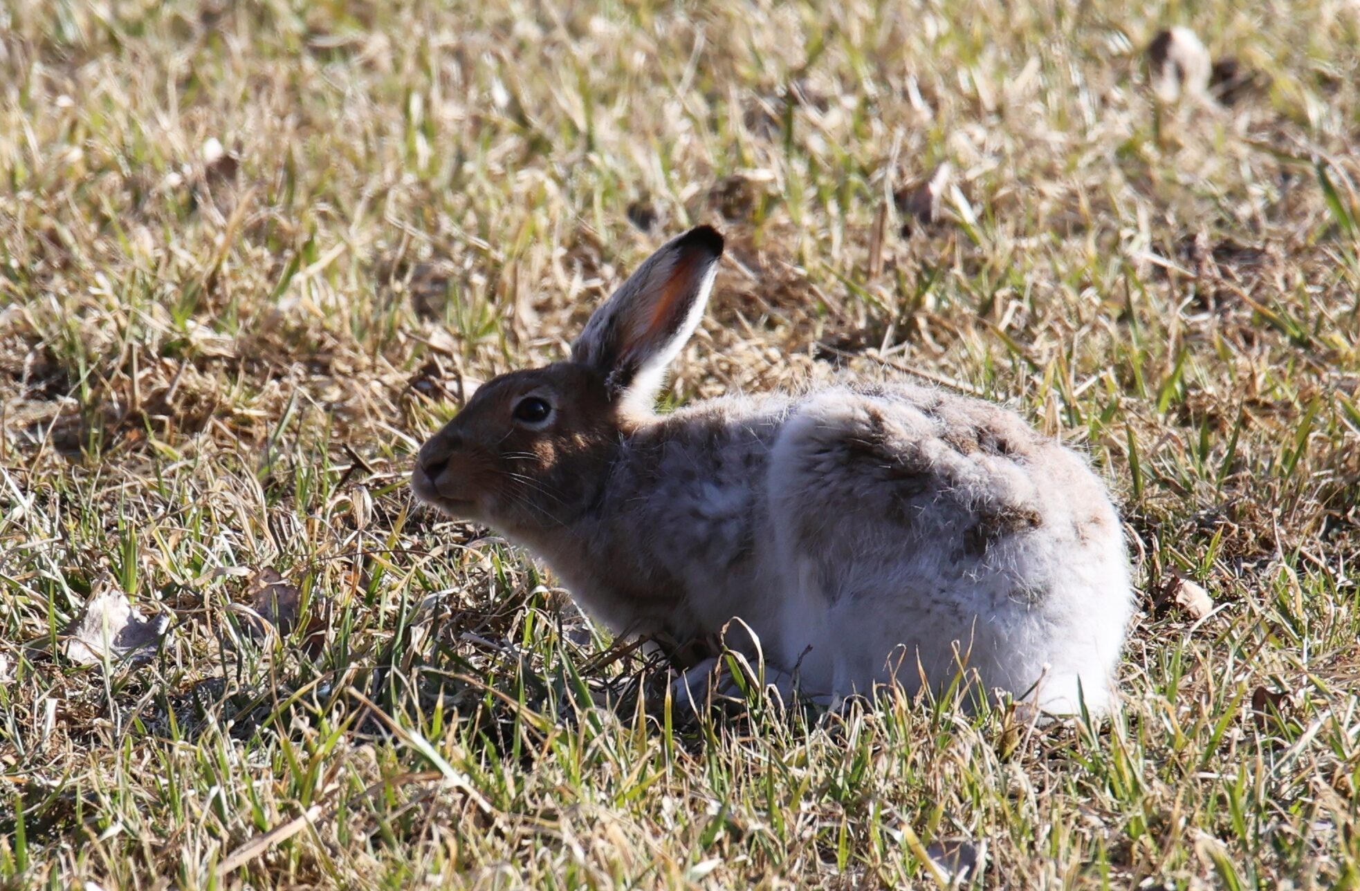 Valokuvaaja: Jaana Saarelainen