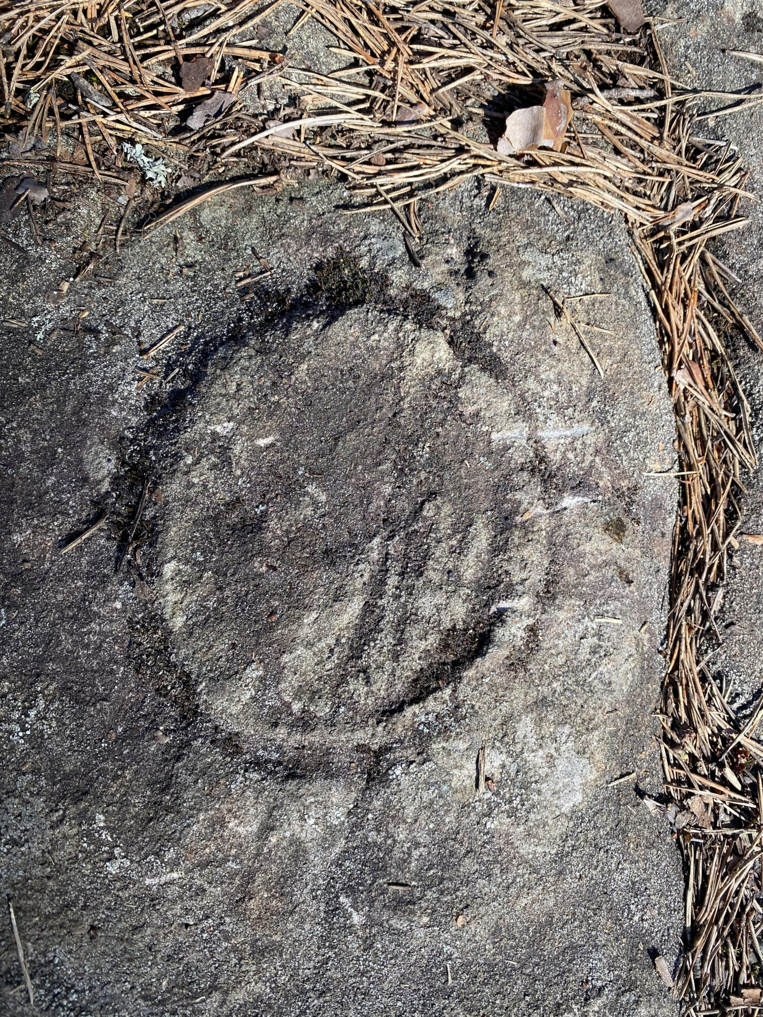 Valokuvaaja: Vesa Kangasniemi