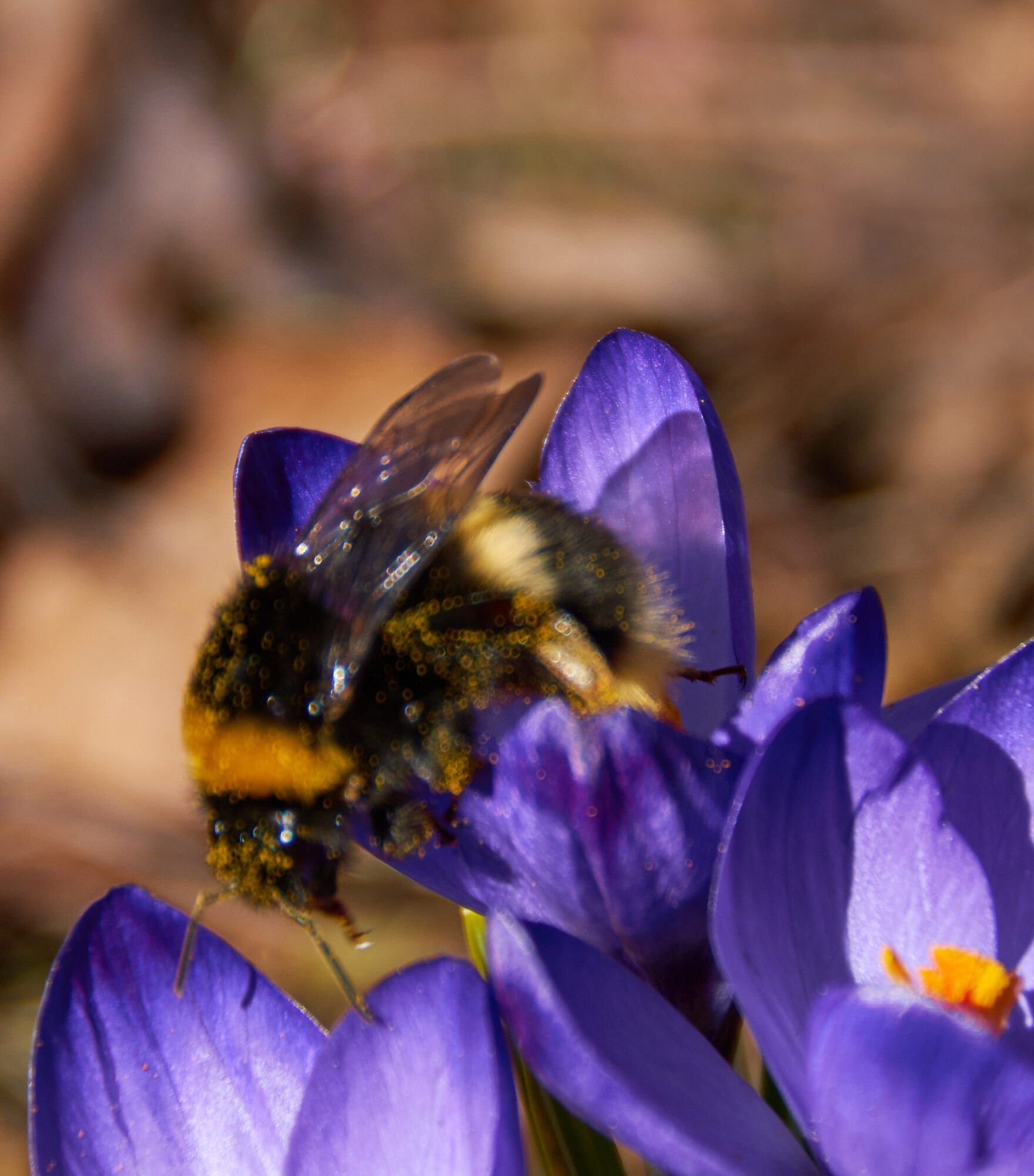 Valokuvaaja: Tarja Kouvo