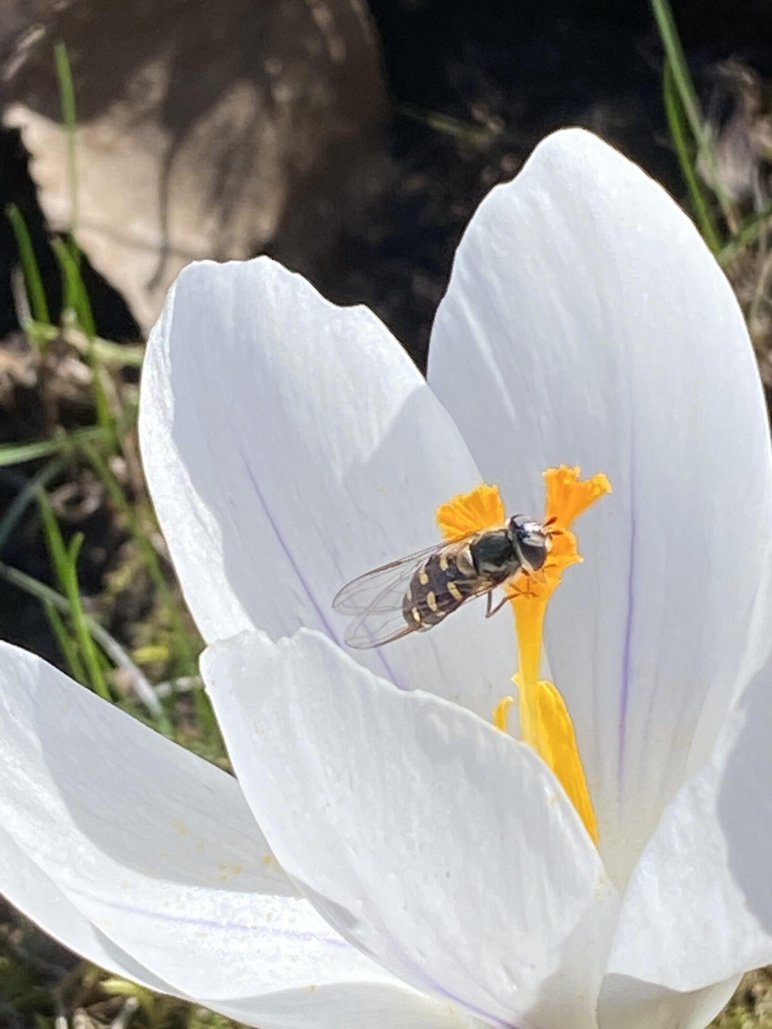 Valokuvaaja: Vesa Kangasniemi