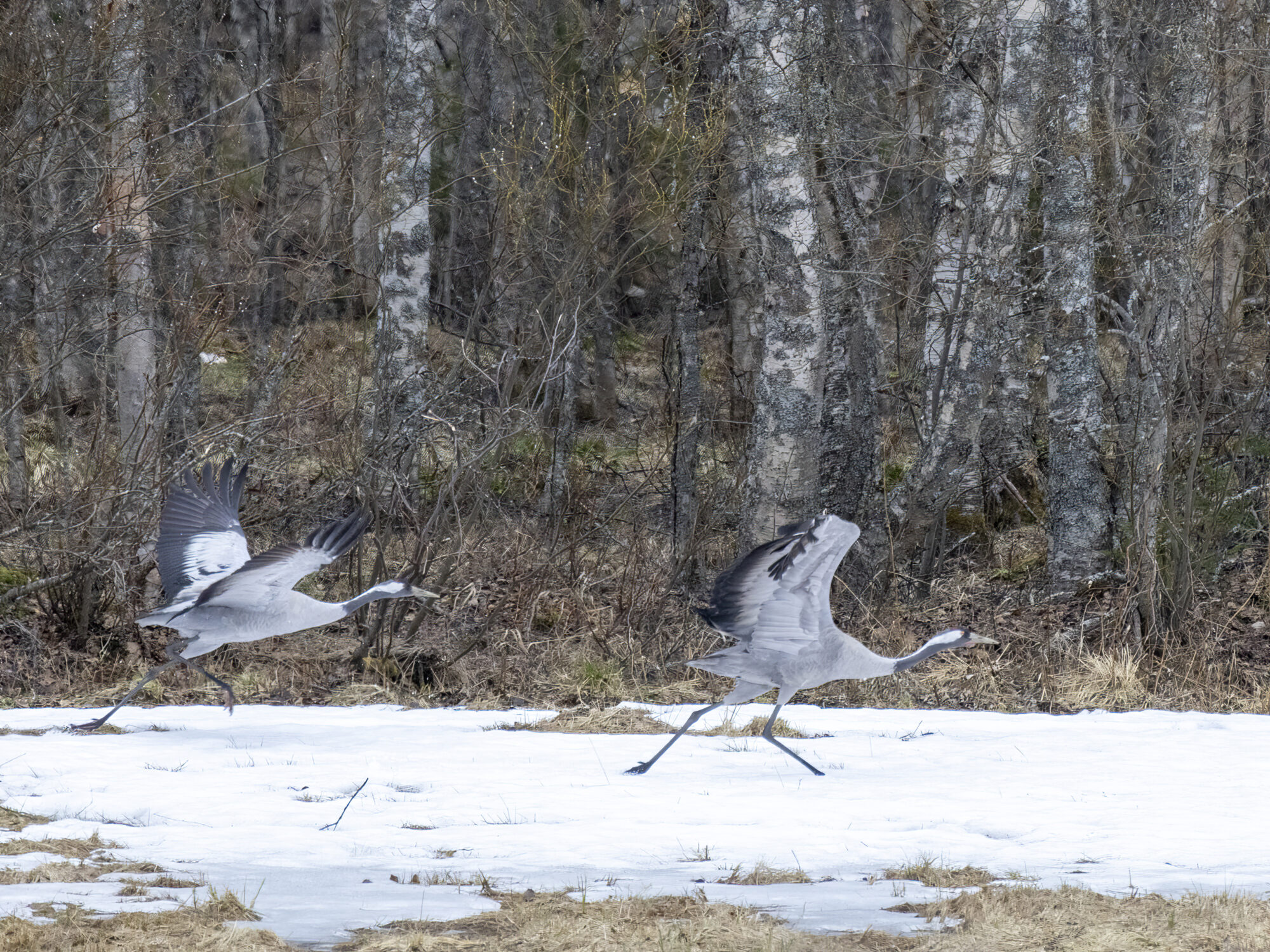 Valokuvaaja: Hannu Tikkanen