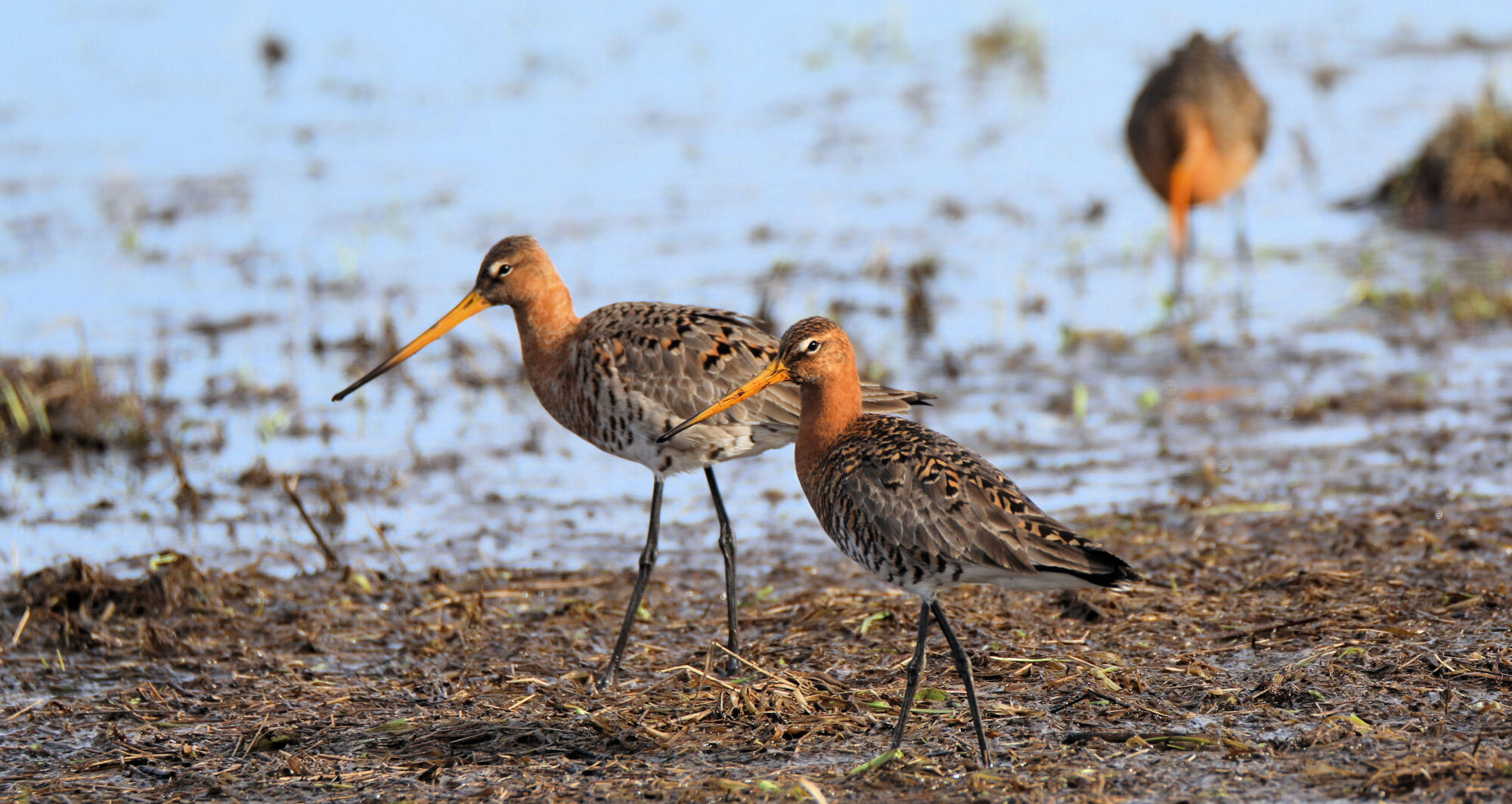Valokuvaaja: Ahti Keränen