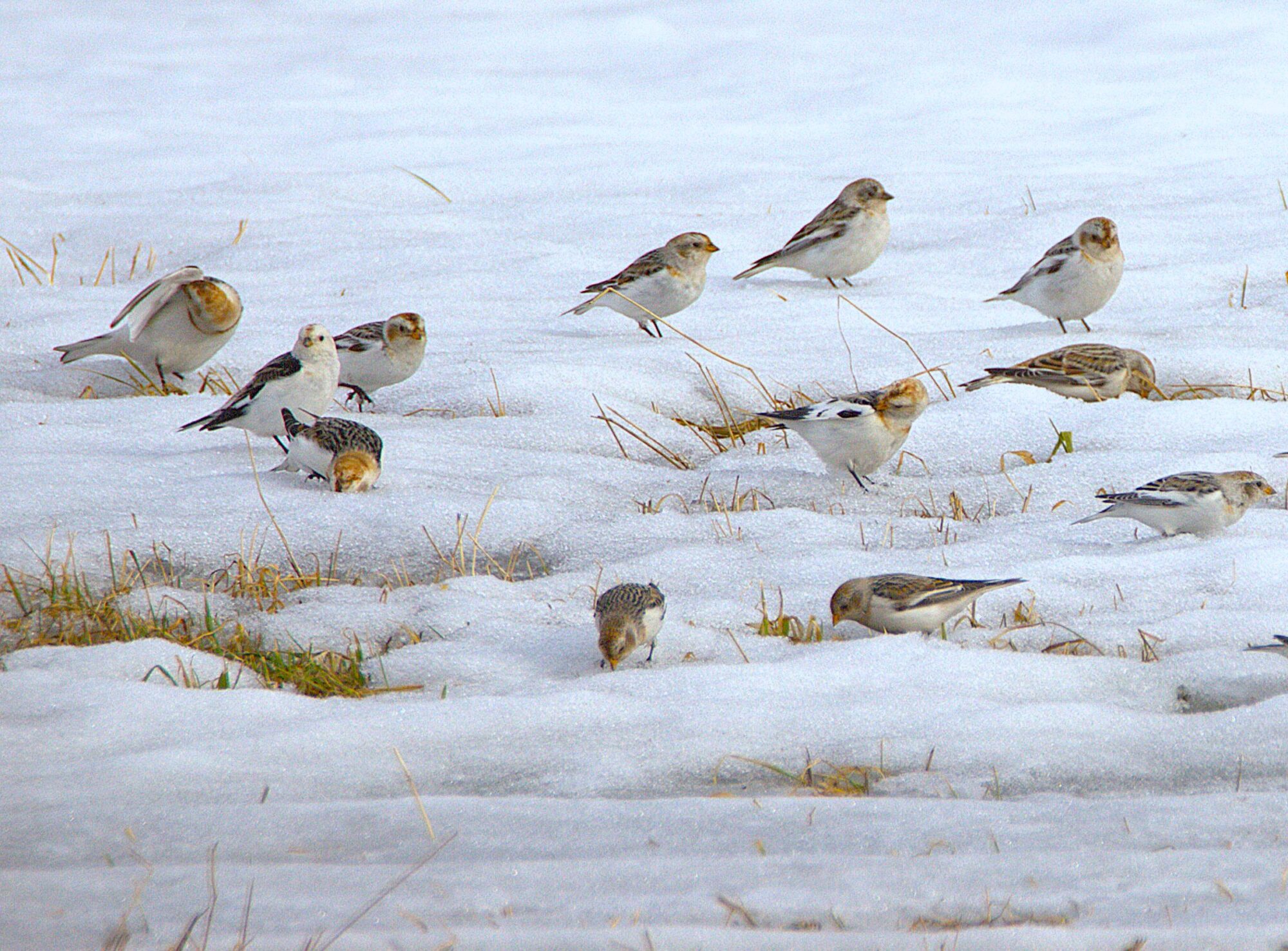 Valokuvaaja: jarmo kumpula