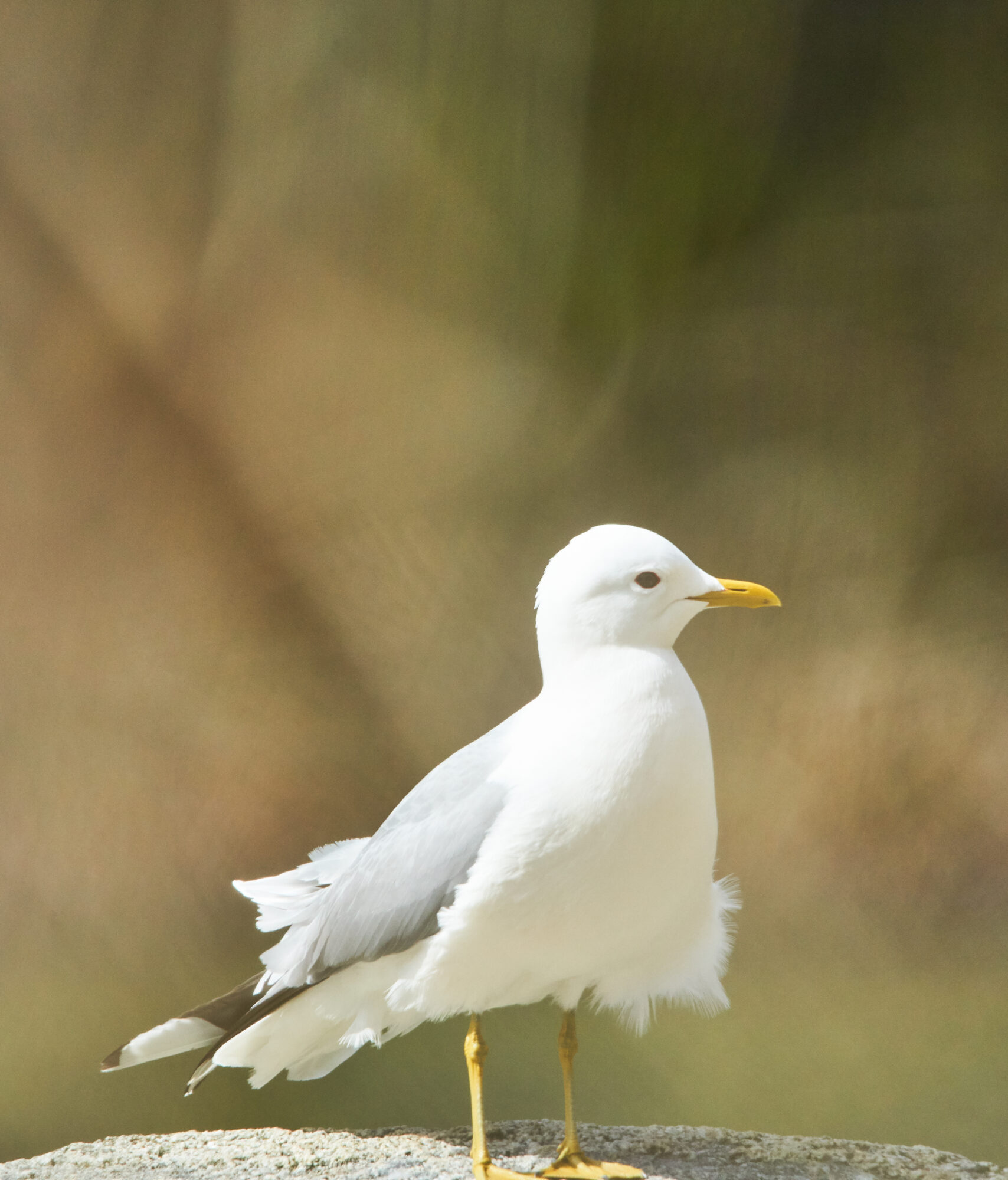 Valokuvaaja: Tarja Kouvo