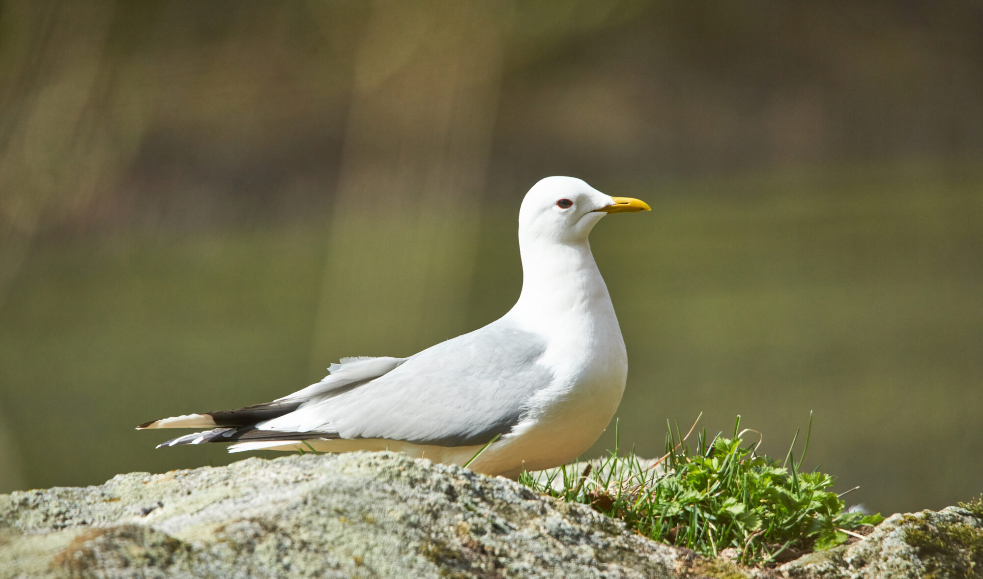Valokuvaaja: Tarja Kouvo