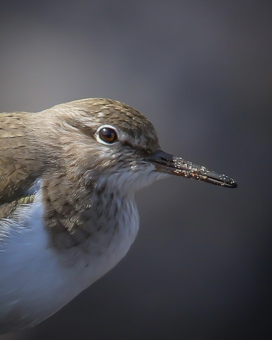 Valokuvaaja: Mikko Siikavesi