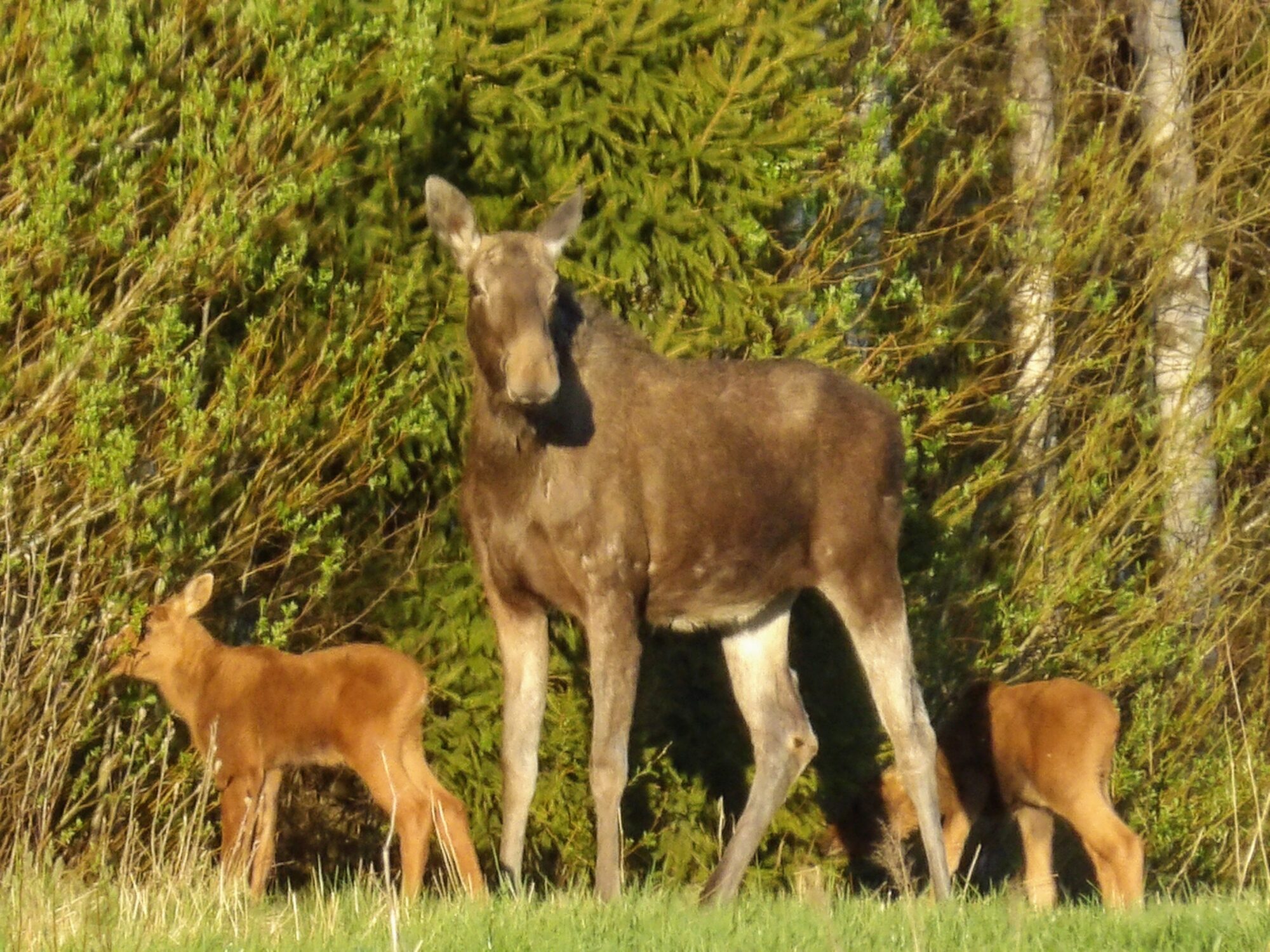 Valokuvaaja: Salla Kumpulainen