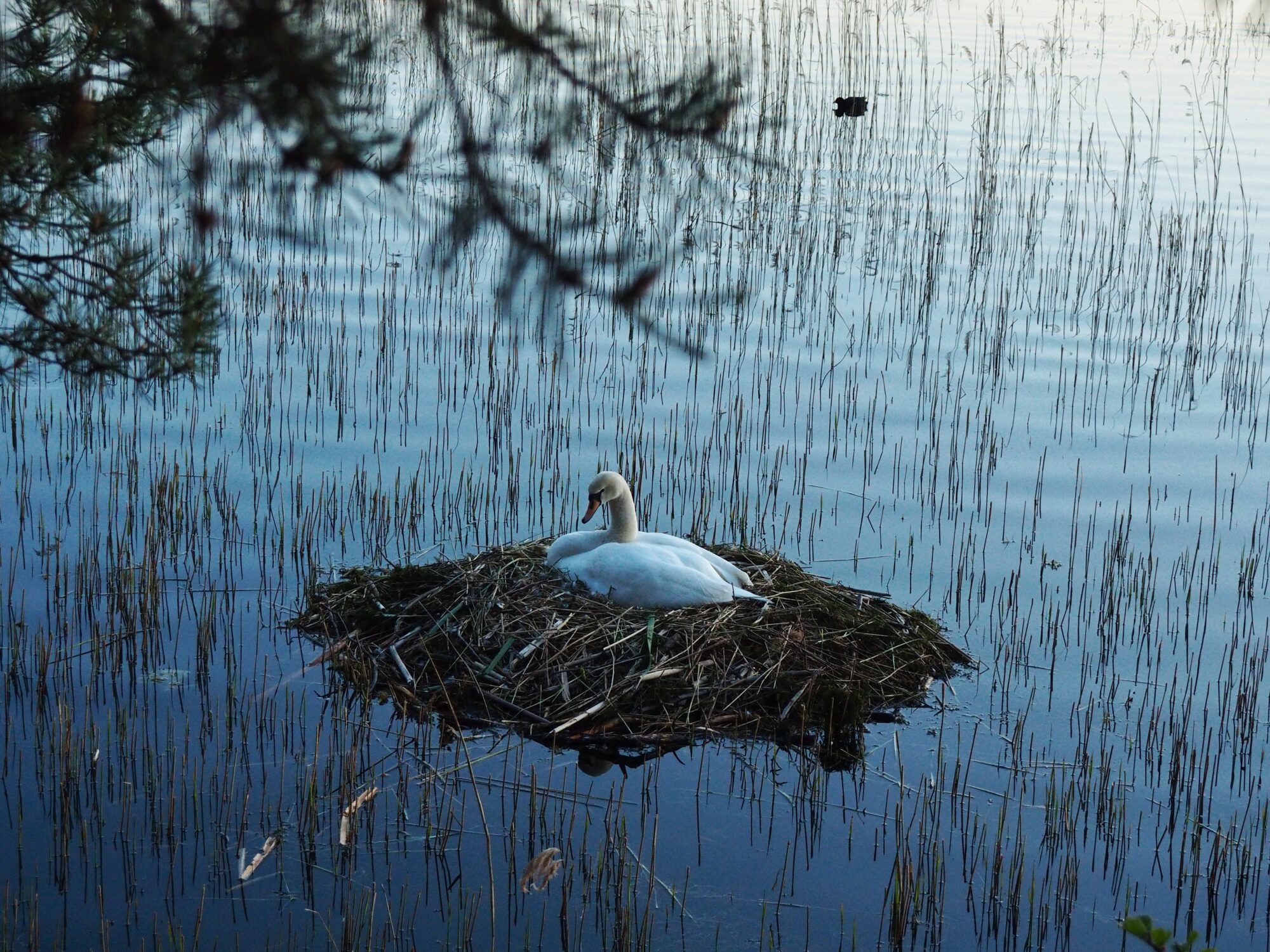 Valokuvaaja: Bianca Valokuvaaja: Bianca