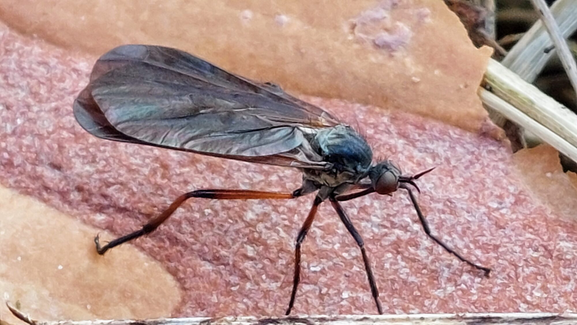 Valokuvaaja: Tarja Naukkarinen