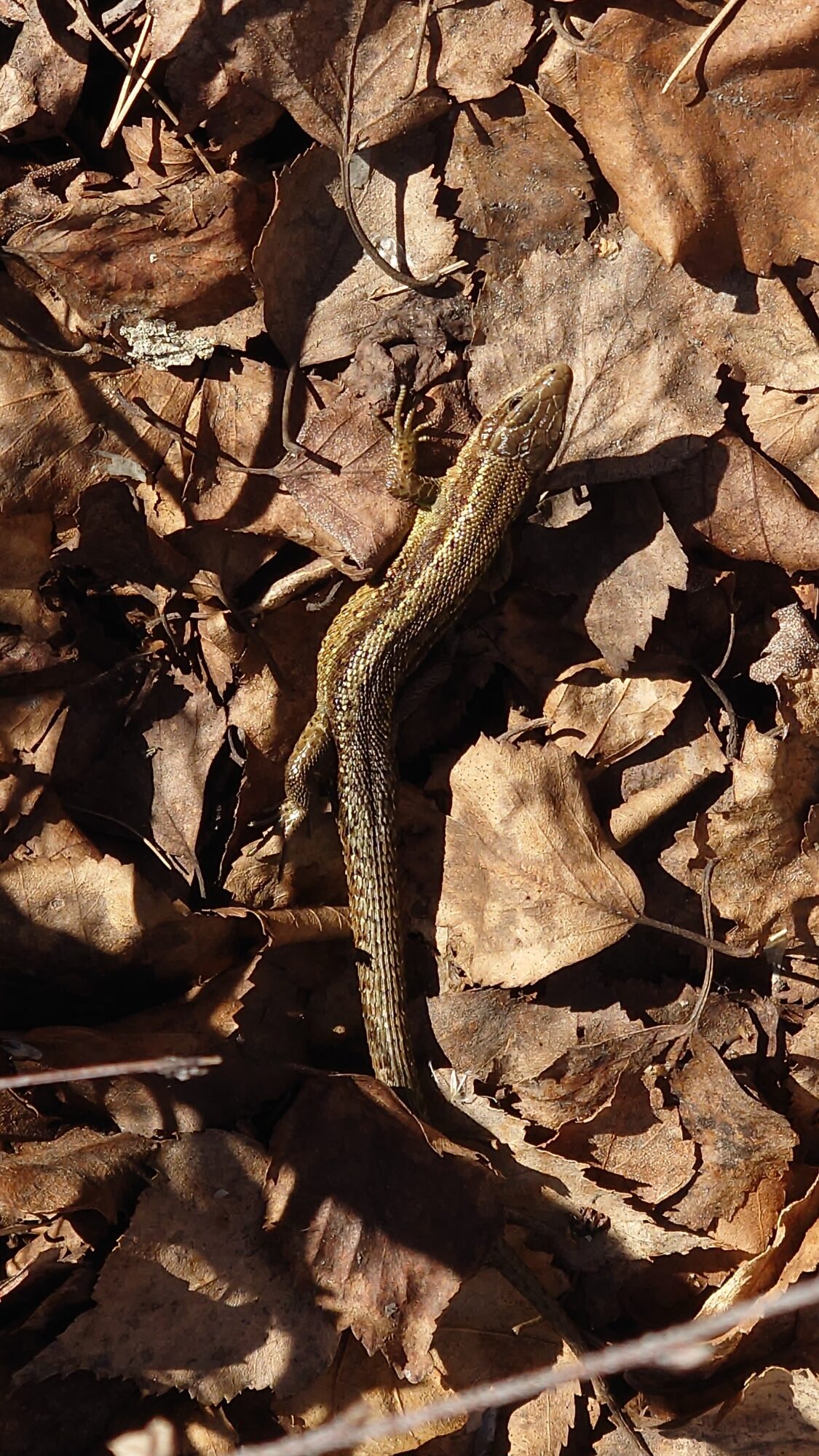 Valokuvaaja: Jouni Roppola