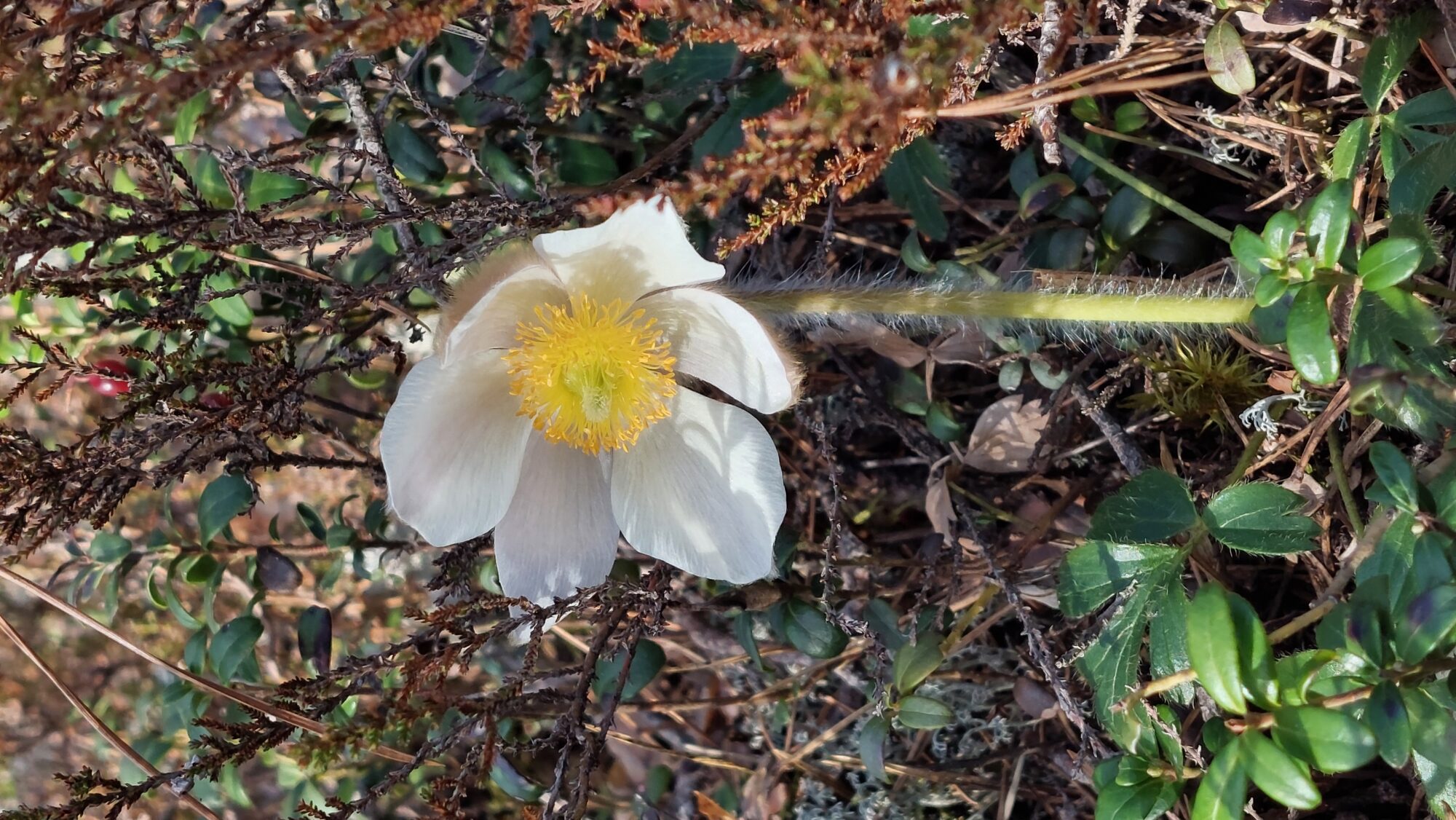 Valokuvaaja: Tarja Naukkarinen