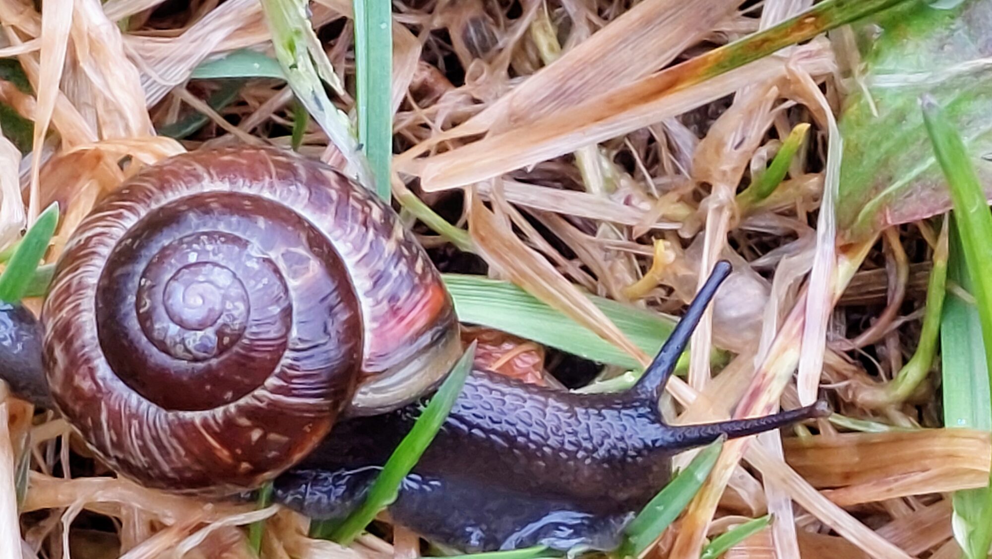 Valokuvaaja: Tarja Naukkarinen