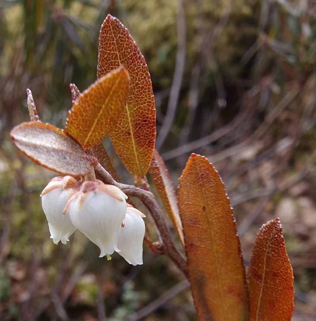 Valokuvaaja: Hanna Rönty