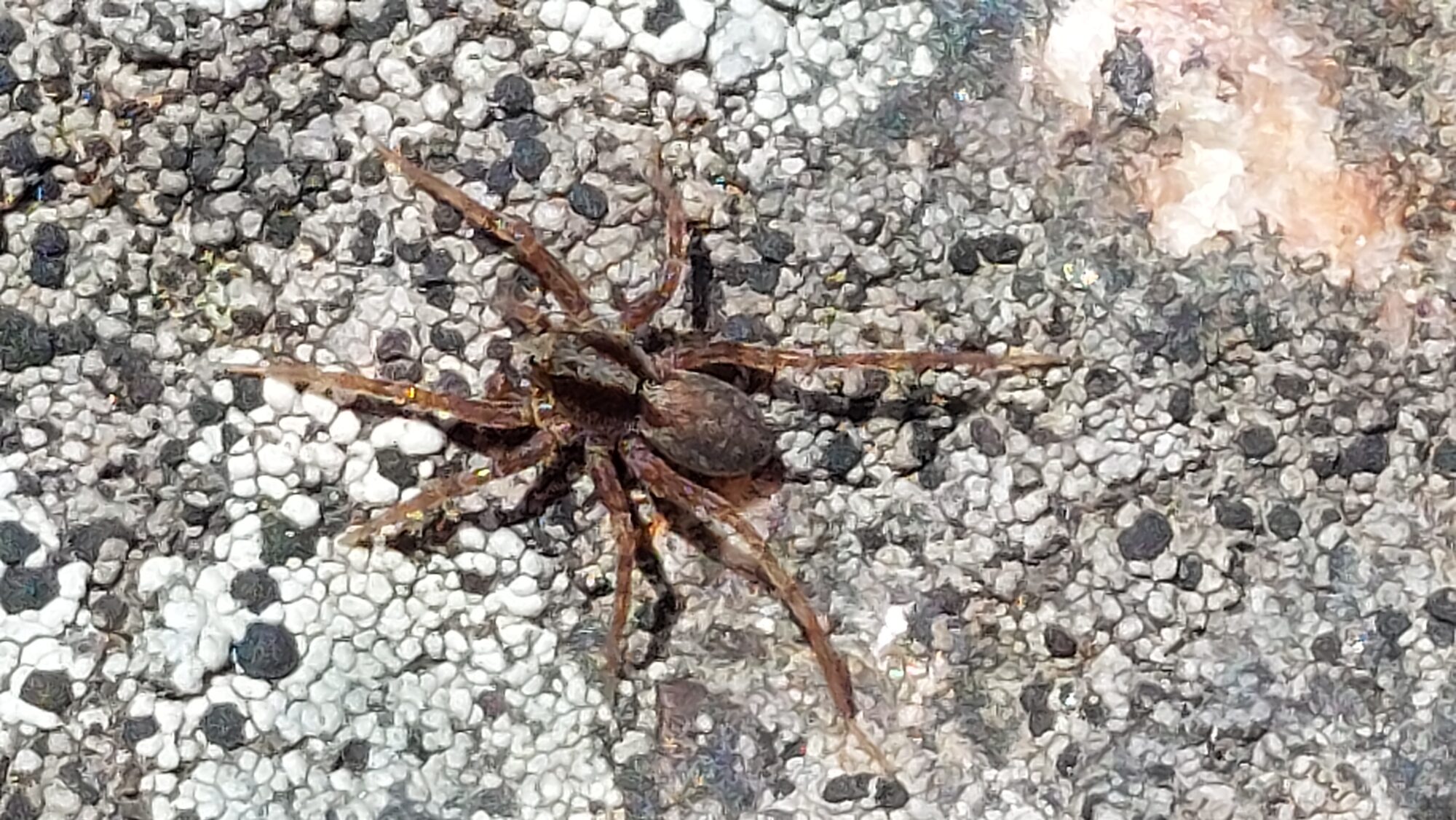 Valokuvaaja: Tarja Naukkarinen