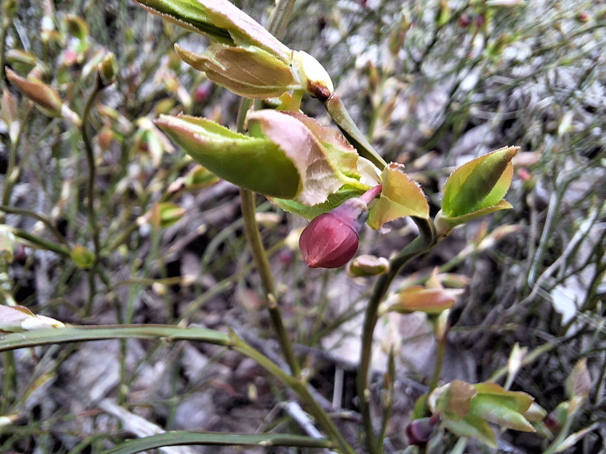 Valokuvaaja: Sakari Virkki