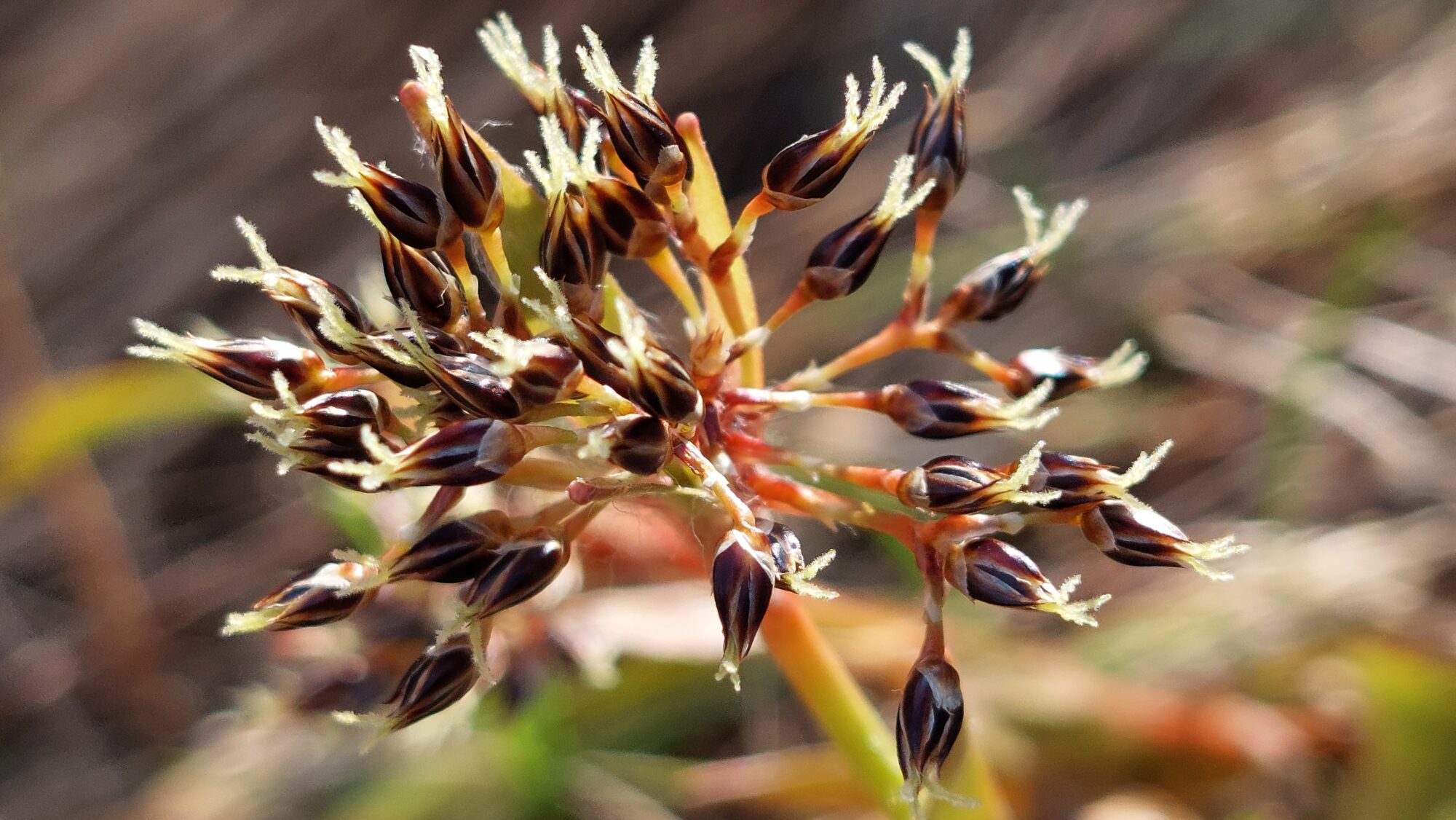 Valokuvaaja: Tarja Naukkarinen