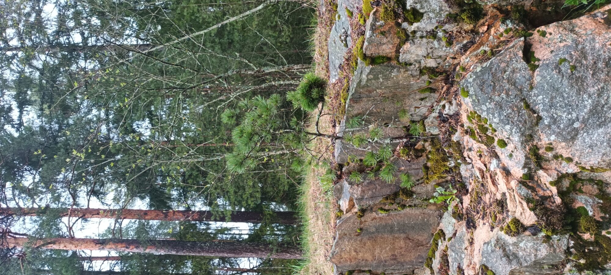 Valokuvaaja: peetra andersson