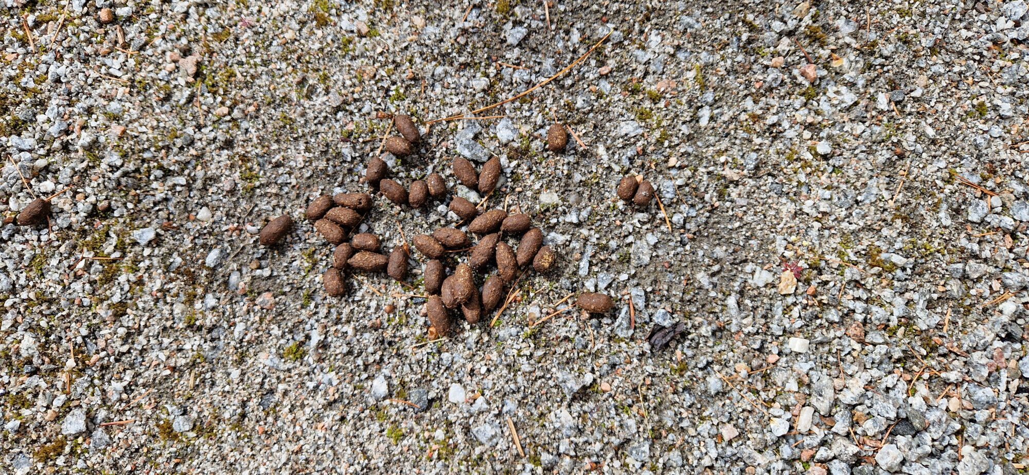 Valokuvaaja: Heini Krohns