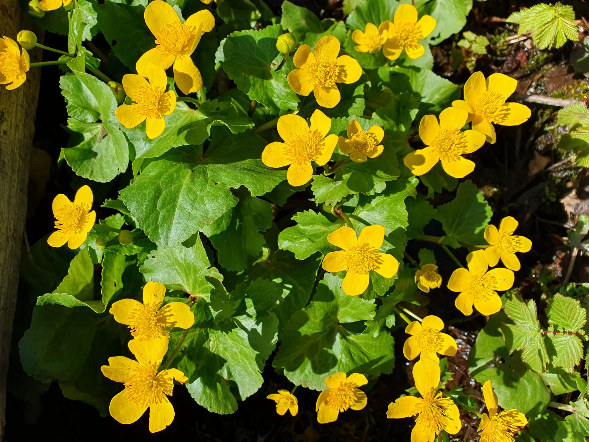 Valokuvaaja: Pirkko Tuulihovi Valokuvaaja: Pirkko Tuulihovi