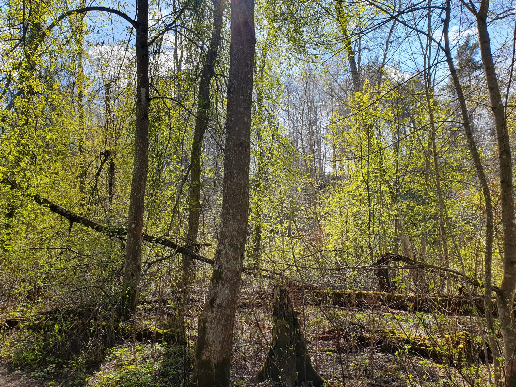 Valokuvaaja: Pirkko Tuulihovi Valokuvaaja: Pirkko Tuulihovi