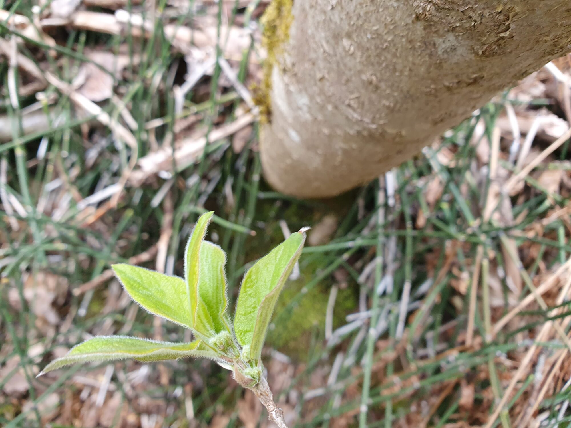 Valokuvaaja: Pirkko Tuulihovi