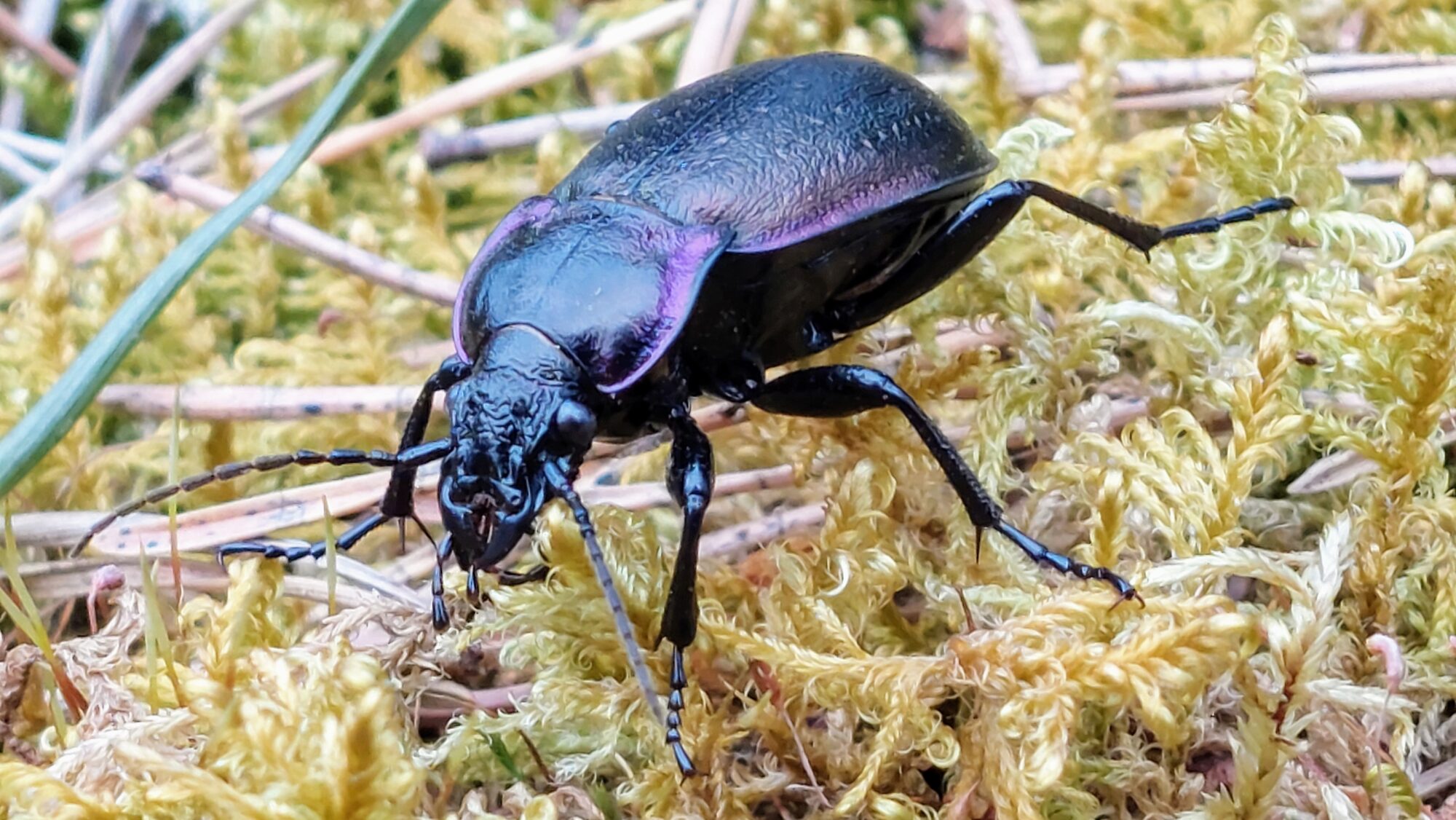 Valokuvaaja: Tarja Naukkarinen