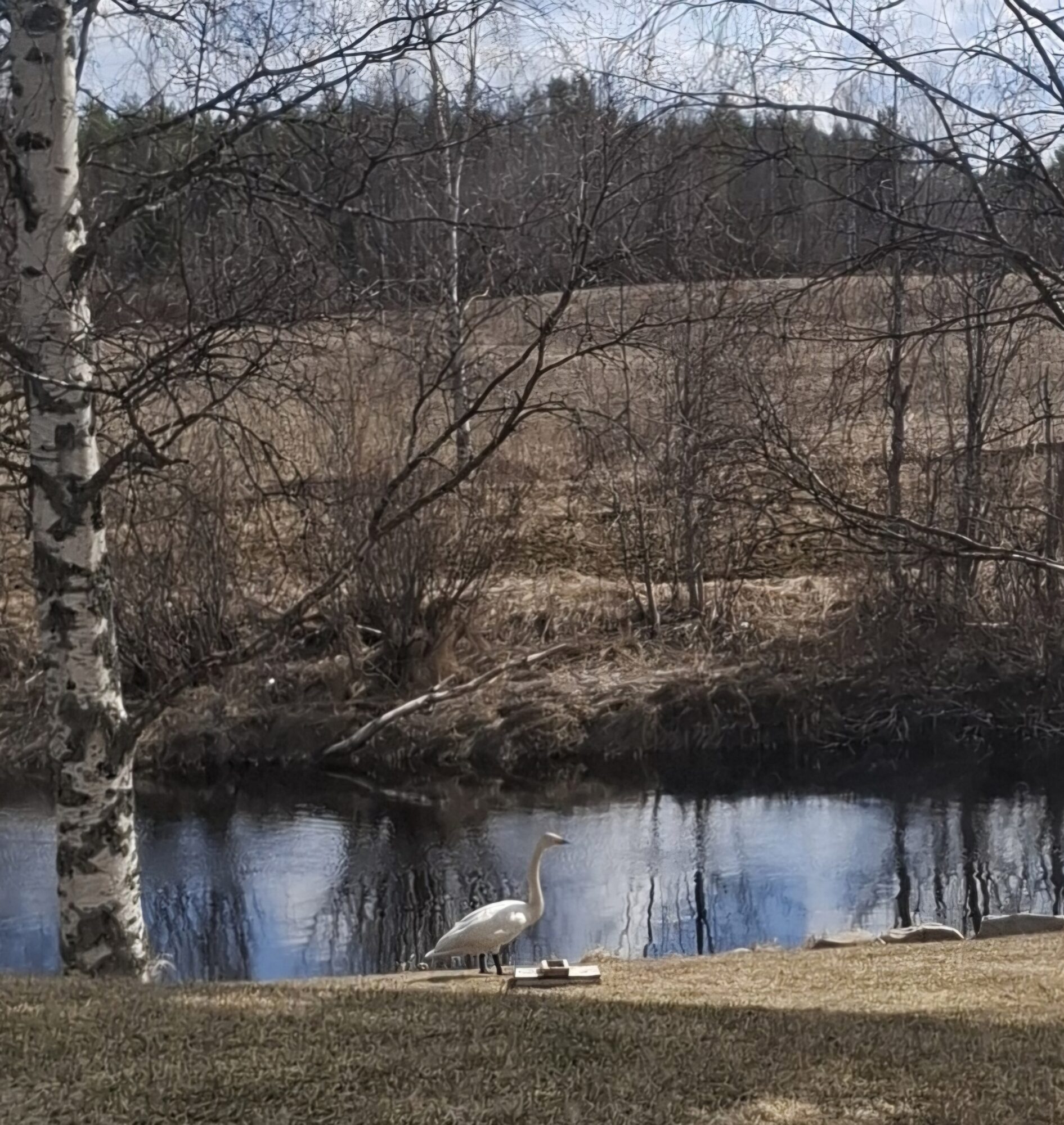 Valokuvaaja: Eveliina Kinnunen