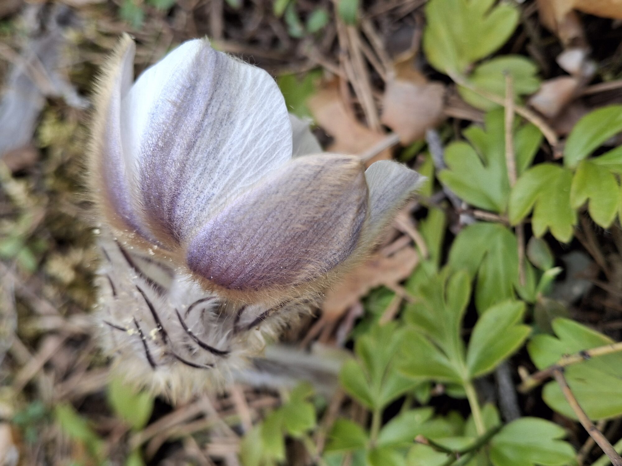 Valokuvaaja: Satu Suuntala