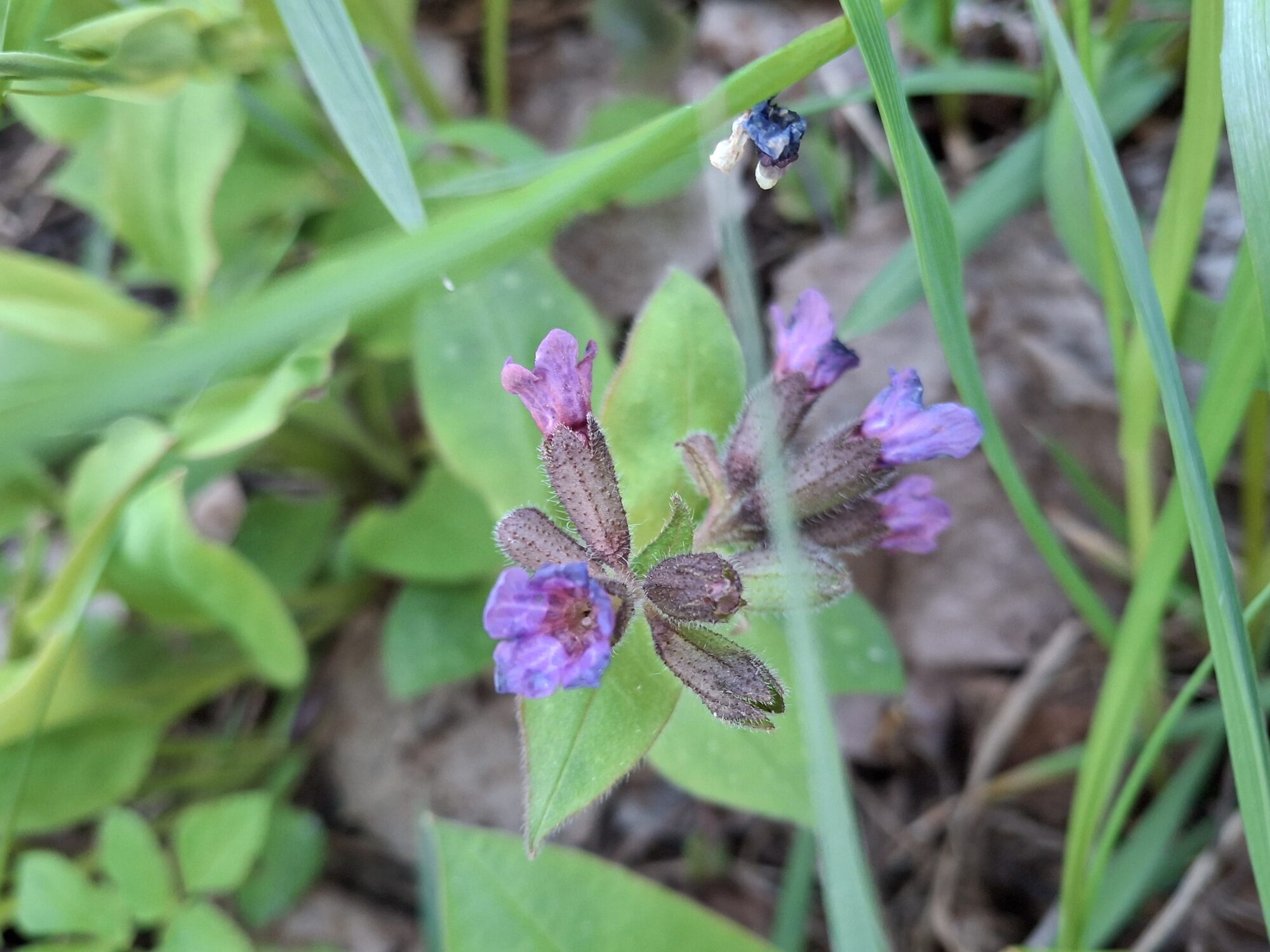 Valokuvaaja: Satu Suuntala