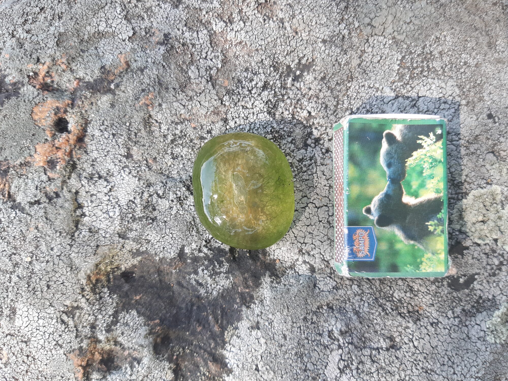 Valokuvaaja: Hannu Suominen Valokuvaaja: Hannu Suominen