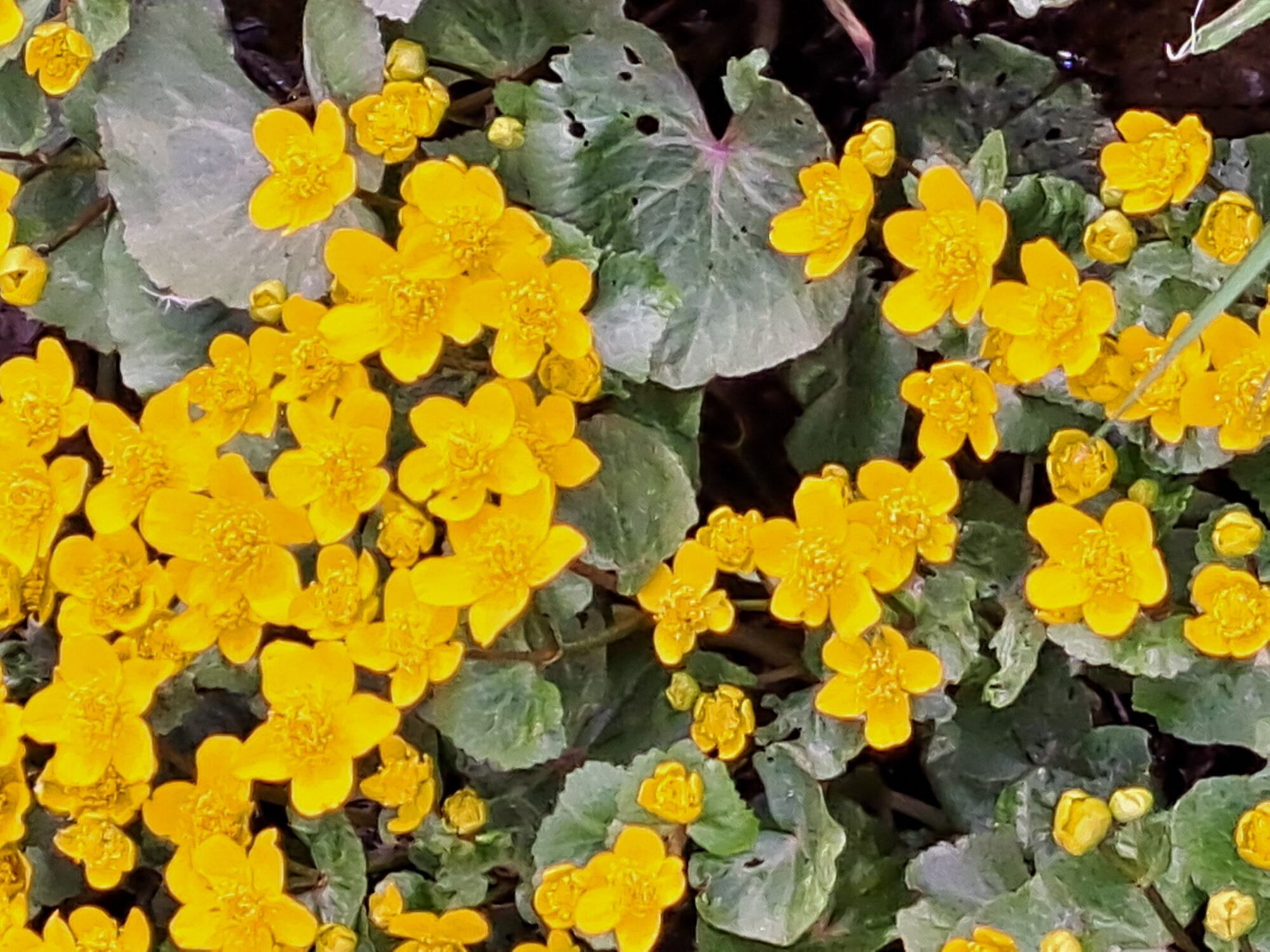 Valokuvaaja: Irja Lehtinen Valokuvaaja: Irja Lehtinen