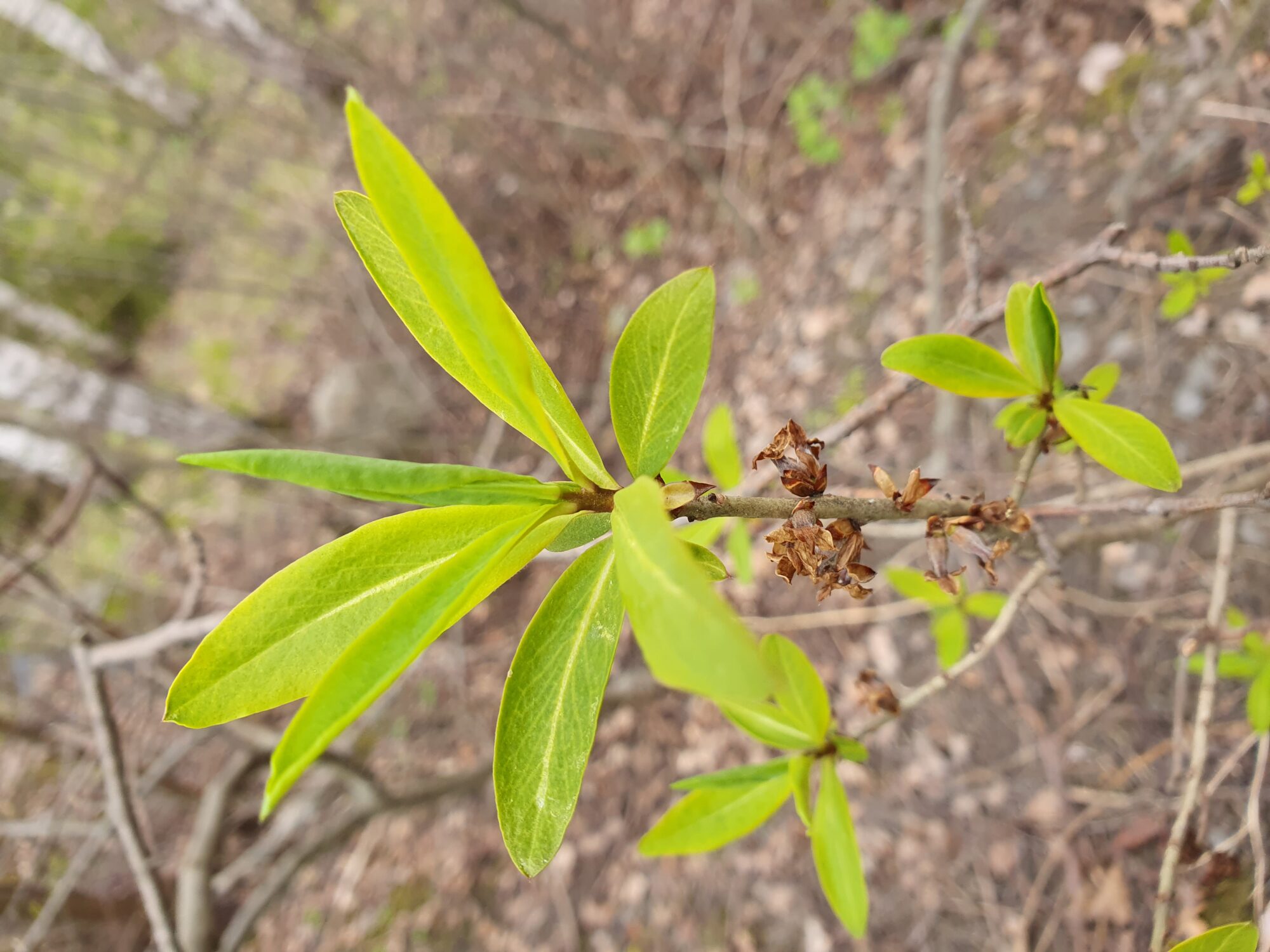 Valokuvaaja: Pirkko Tuulihovi Valokuvaaja: Pirkko Tuulihovi