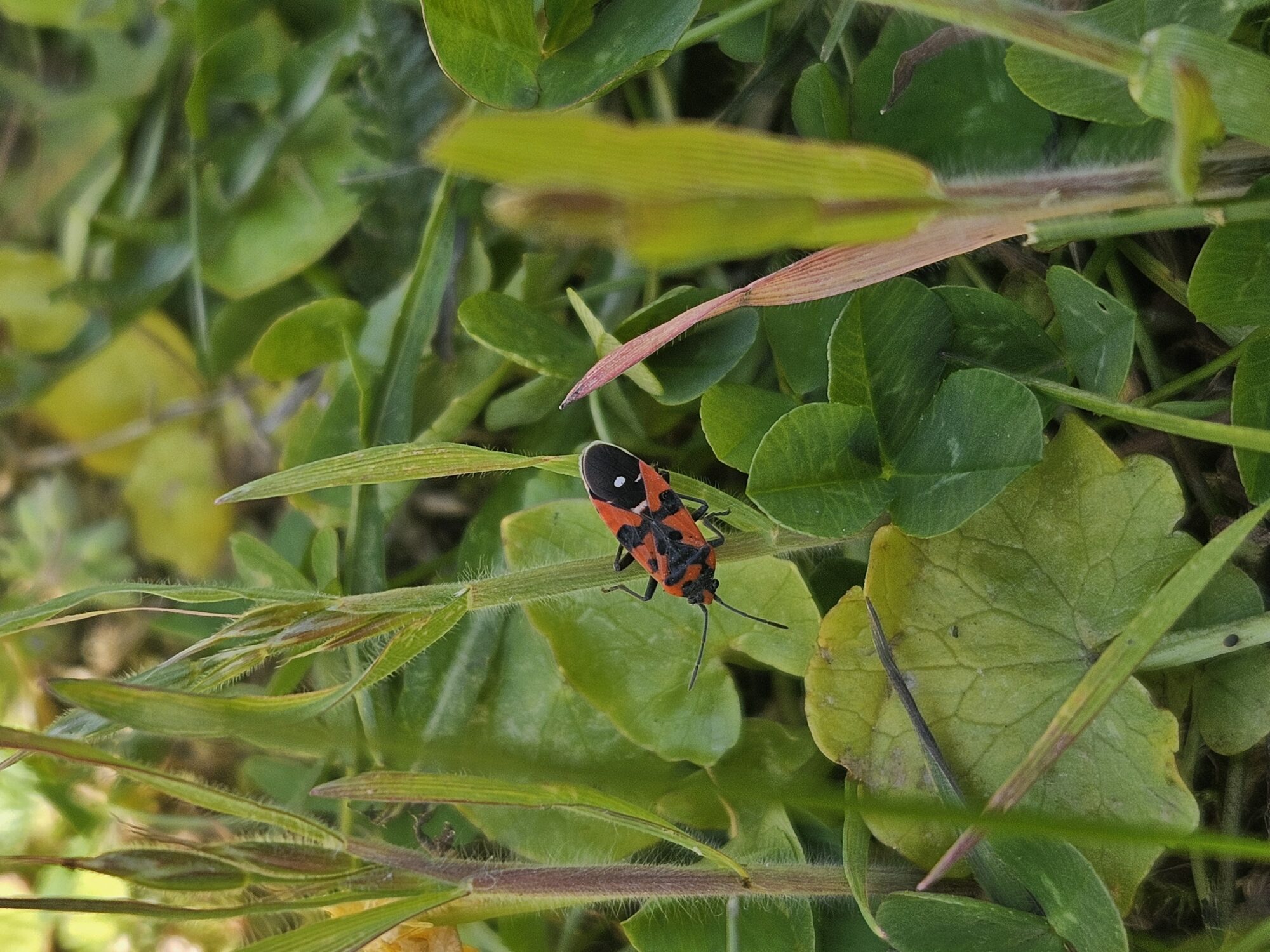 Valokuvaaja: Maria Perkkola