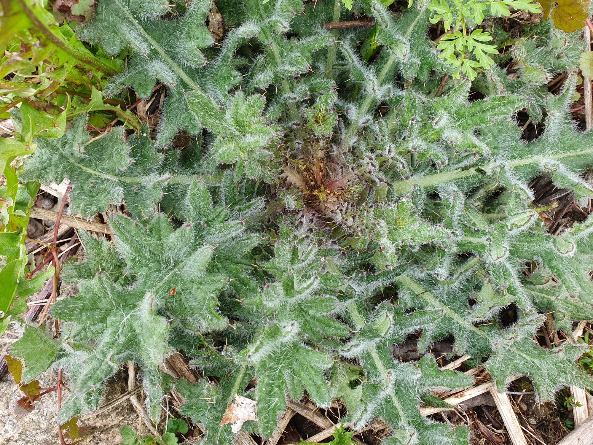 Valokuvaaja: Pirkko Tuulihovi Valokuvaaja: Pirkko Tuulihovi