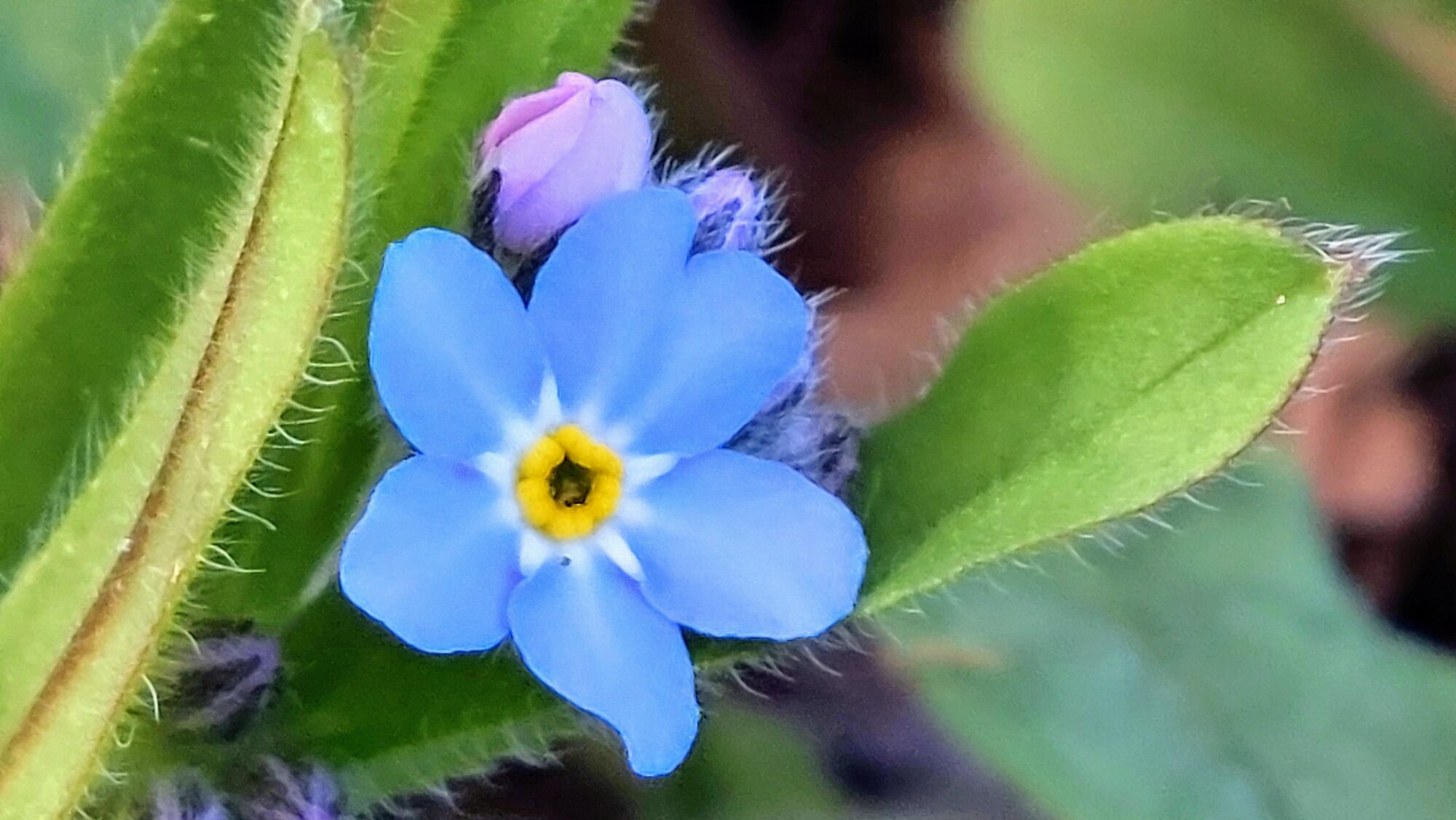 Valokuvaaja: Tarja Naukkarinen