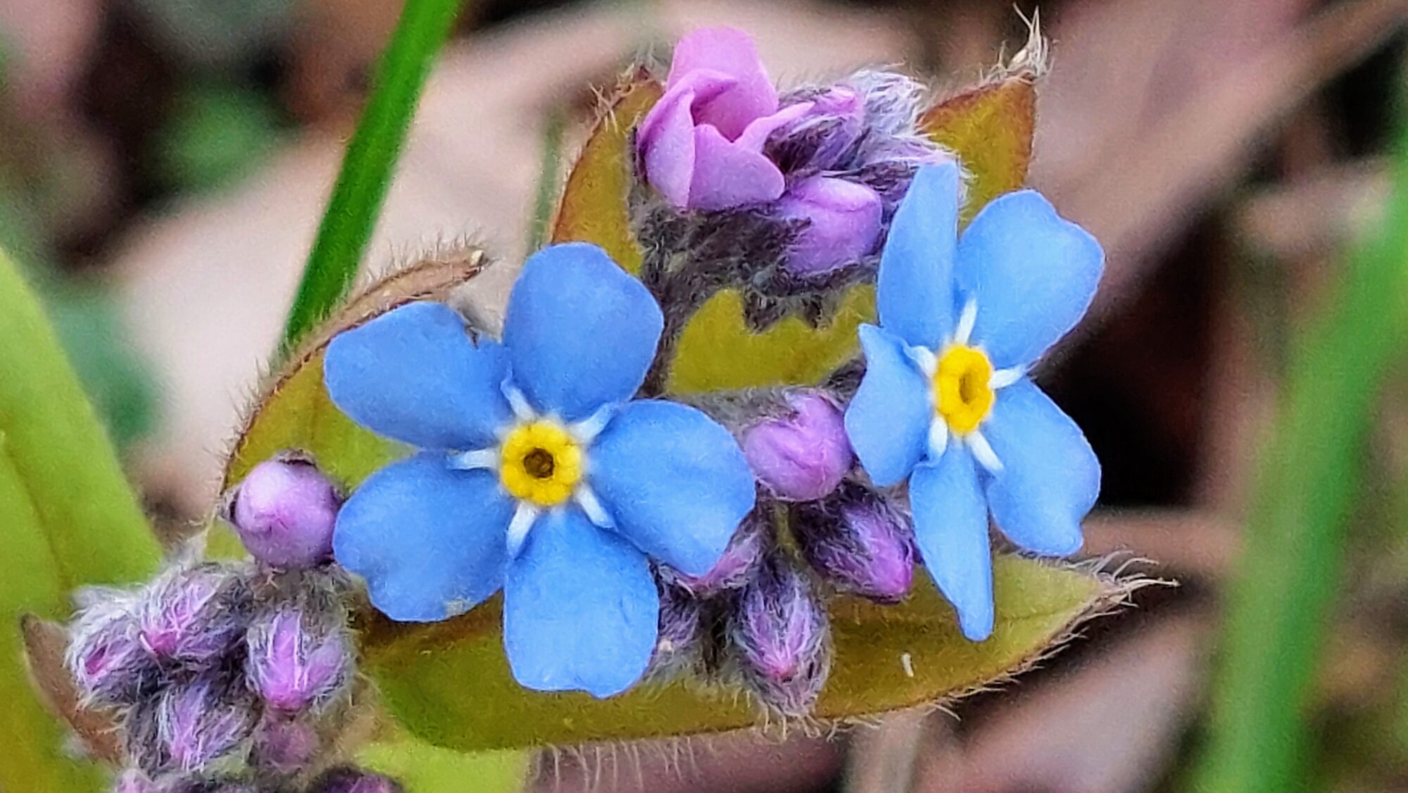 Valokuvaaja: Tarja Naukkarinen Valokuvaaja: Tarja Naukkarinen