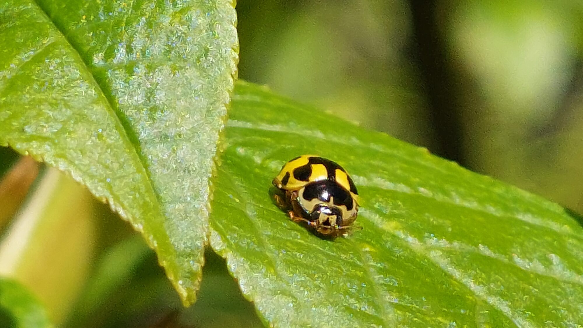 Valokuvaaja: Tarja Naukkarinen