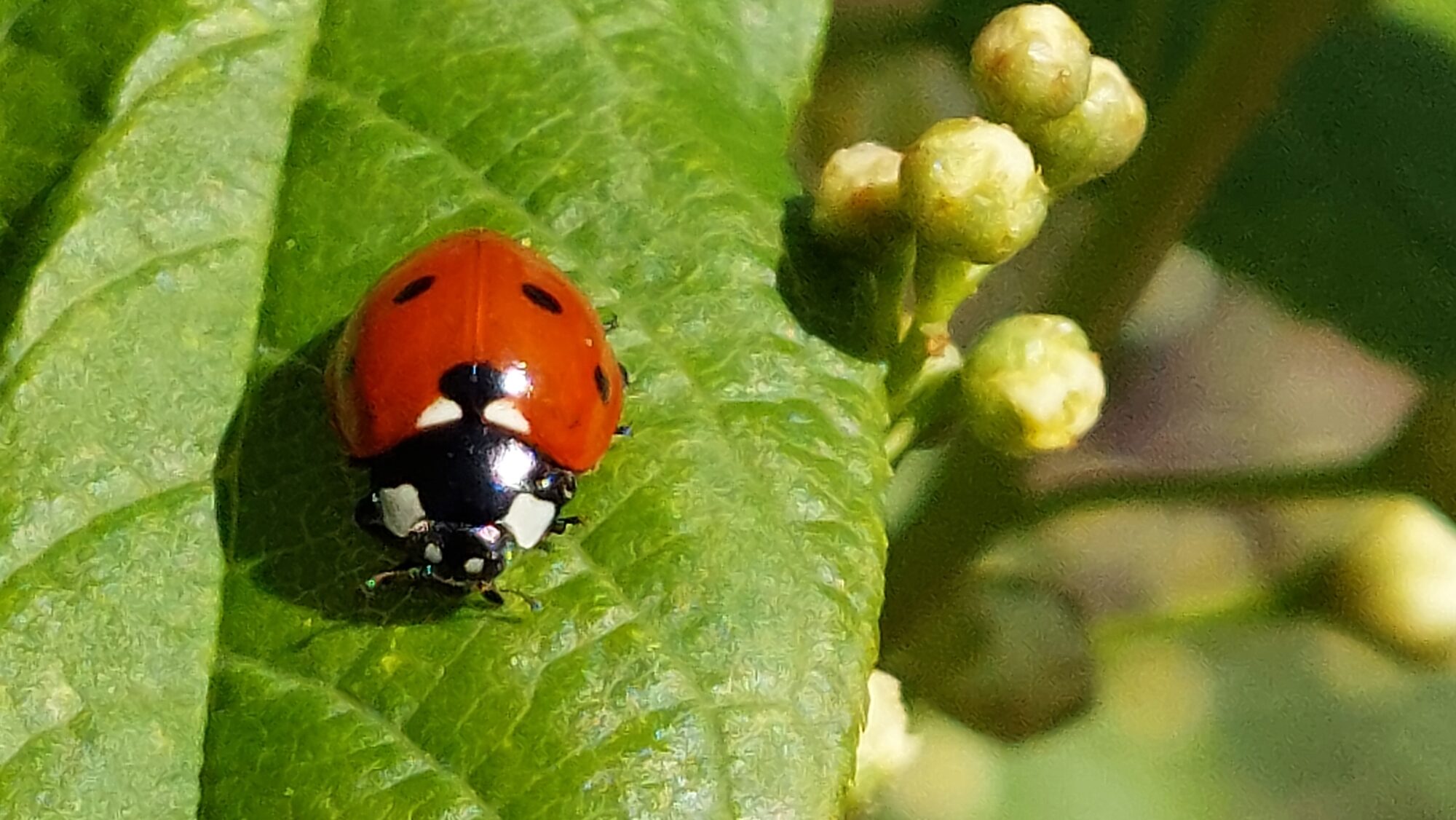 Valokuvaaja: Tarja Naukkarinen Valokuvaaja: Tarja Naukkarinen