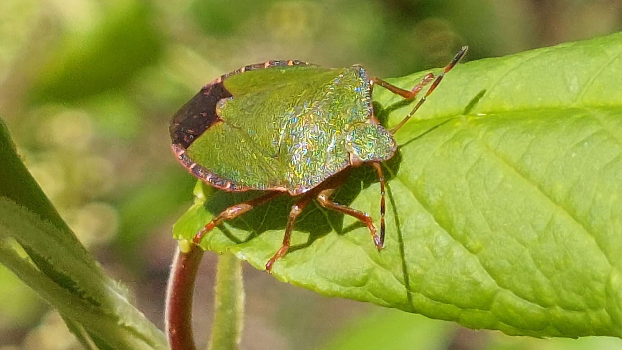 Valokuvaaja: Tarja Naukkarinen