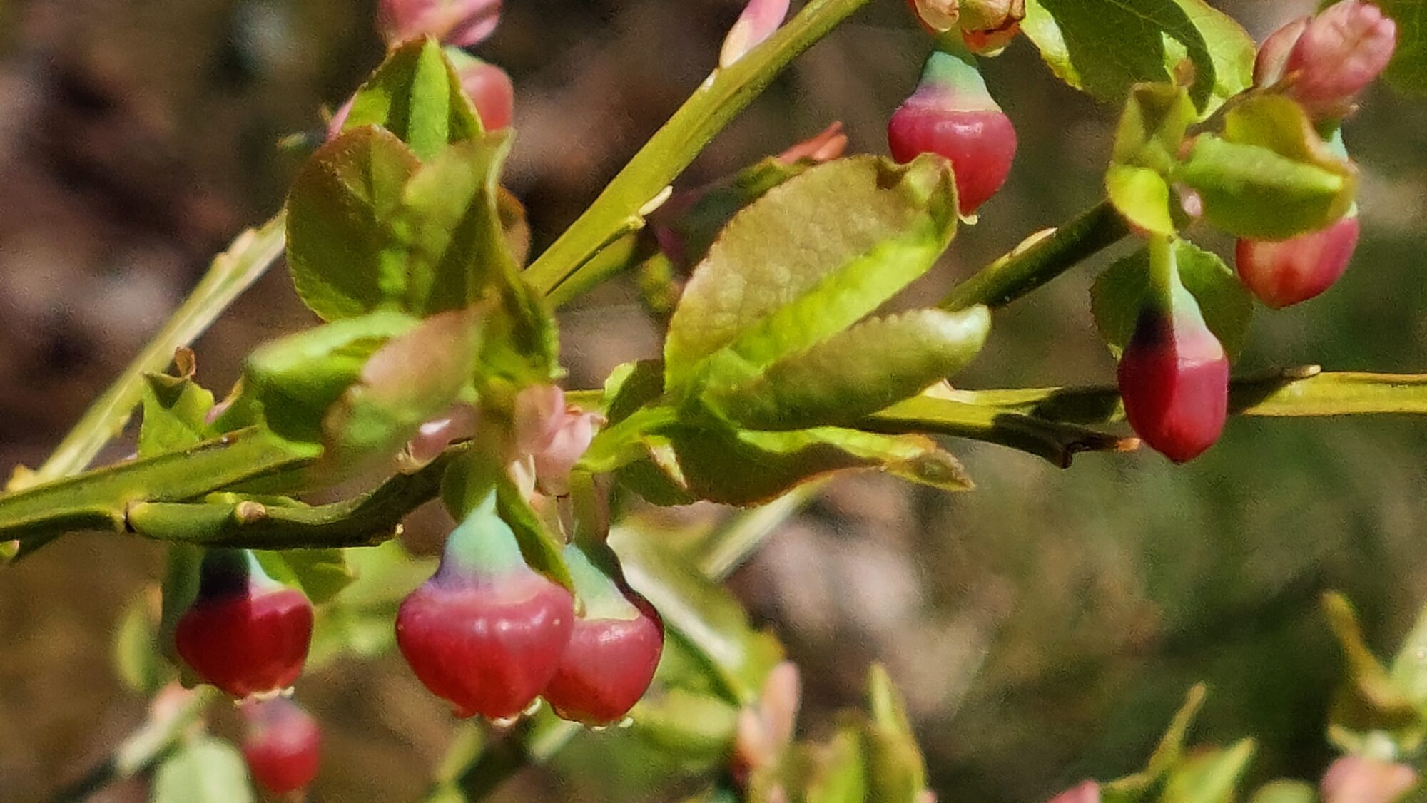 Valokuvaaja: Tarja Naukkarinen