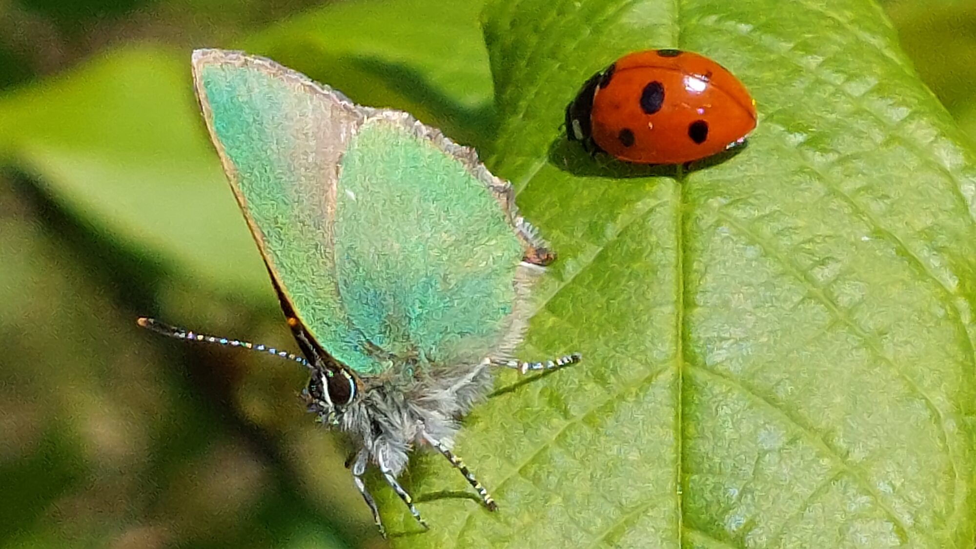 Valokuvaaja: Tarja Naukkarinen