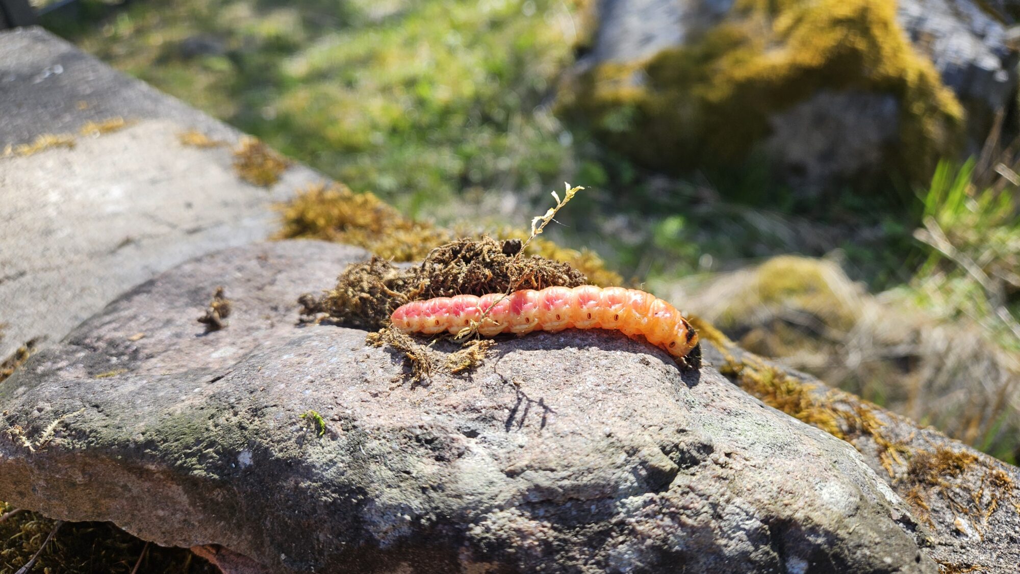 Valokuvaaja: Marko Nordberg